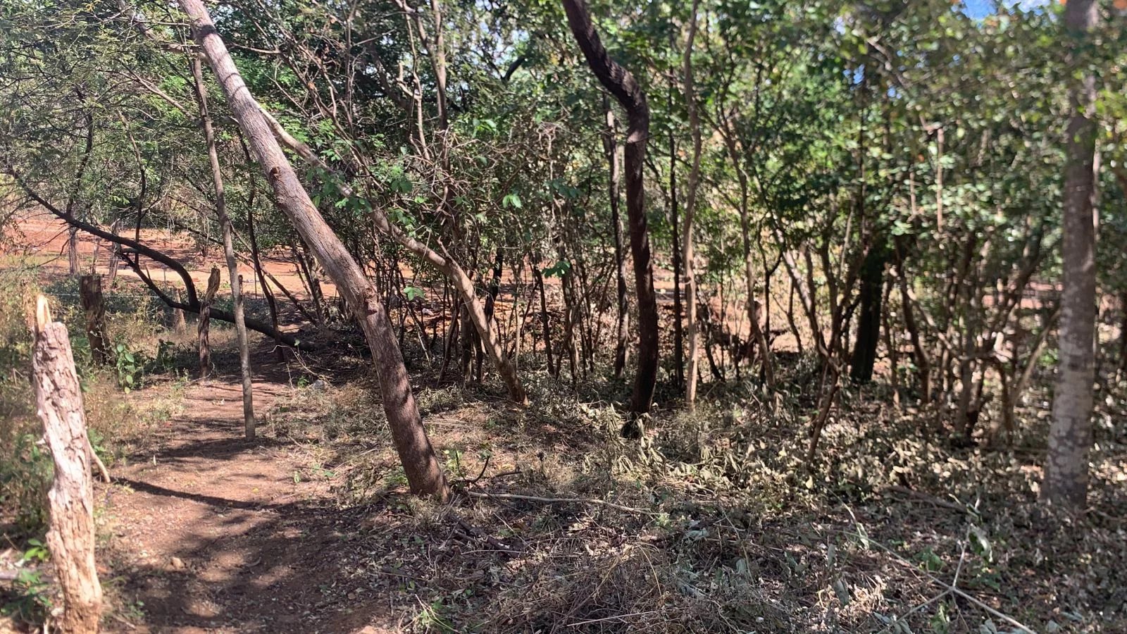 Lot for Sale in Guatemala de Santa Rosa, Guanacaste