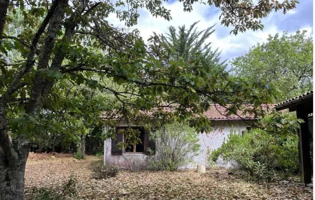 Agence immobilière de Deligey Immo Conseil