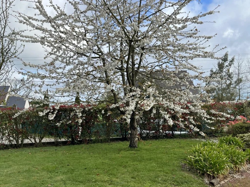 NOUVEAUTE RANCE IMMO  A 2 MIN DE DINAN