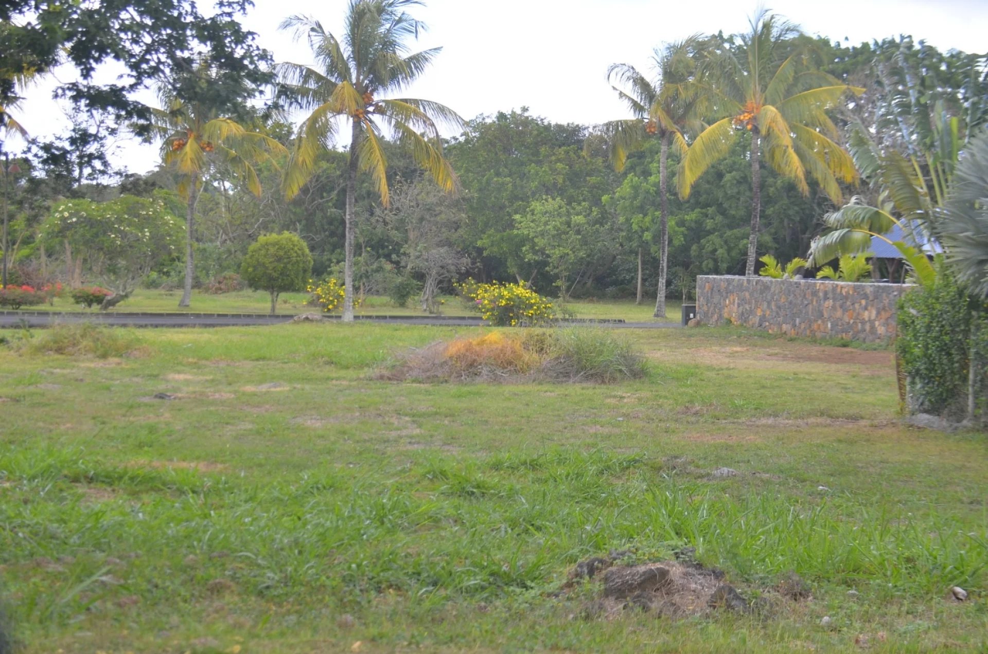 Konut arsası Poste de Flacq - picture 5