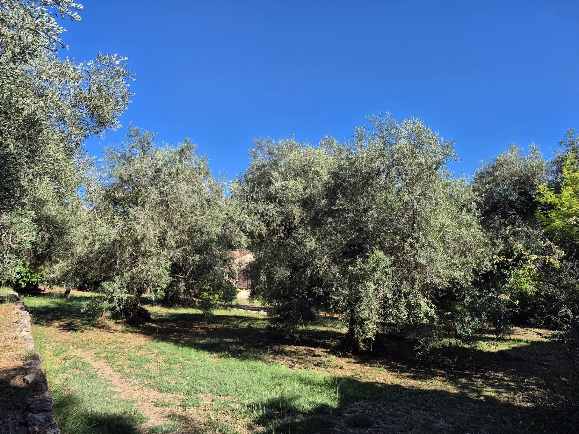  Image of Villa - 5 Bedrooms for Sale in Alpes-Maritimes-Tourrettes-sur-Loup-France, Image 6
