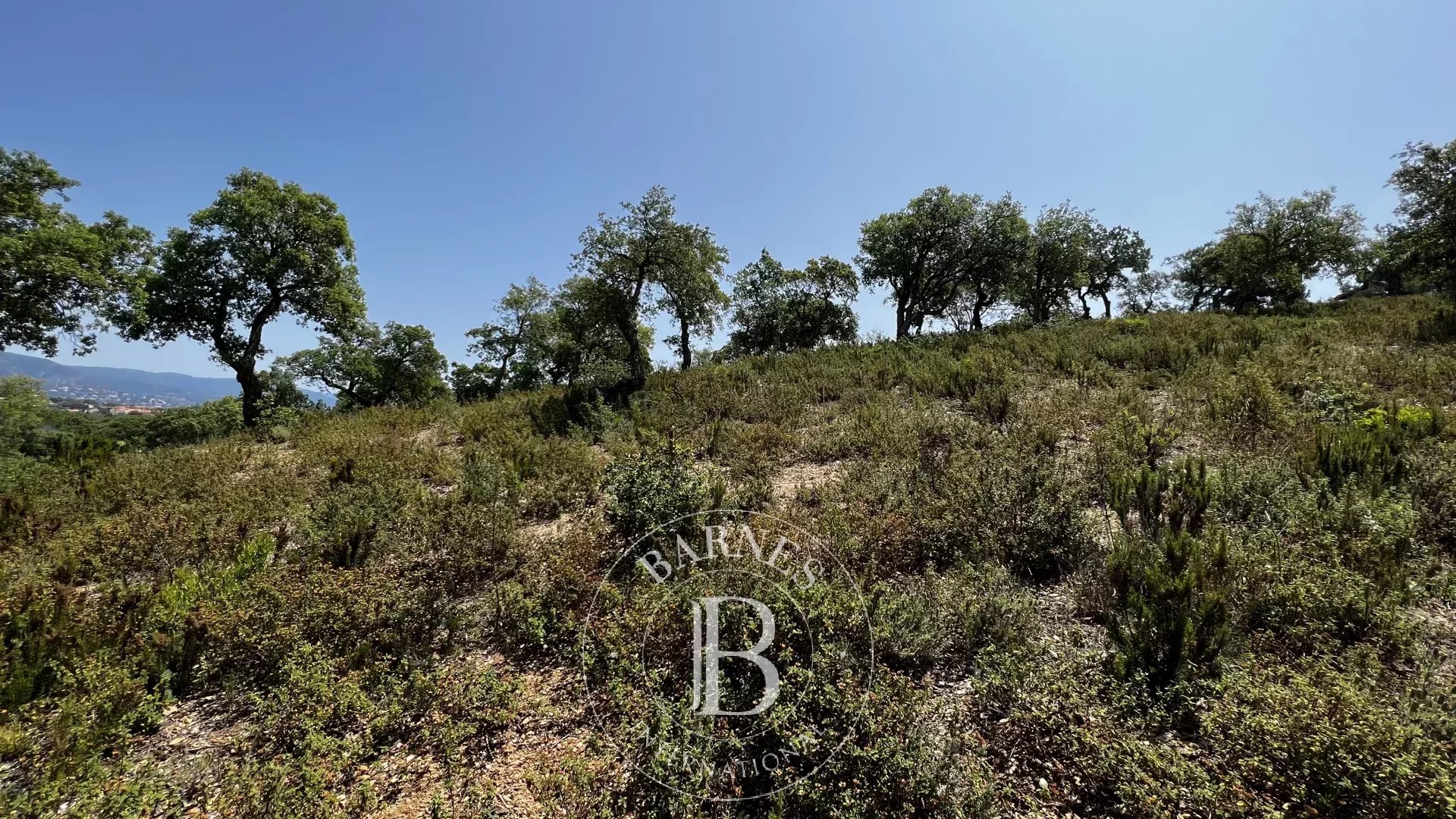 Arazi Bormes-les-Mimosas