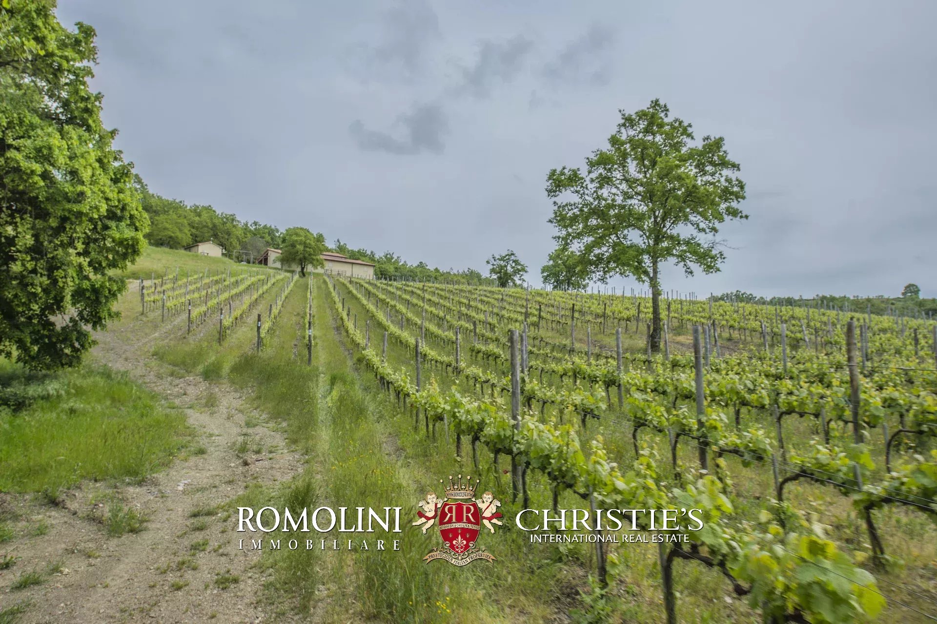 6 Bedroom Vineyard's Image 13