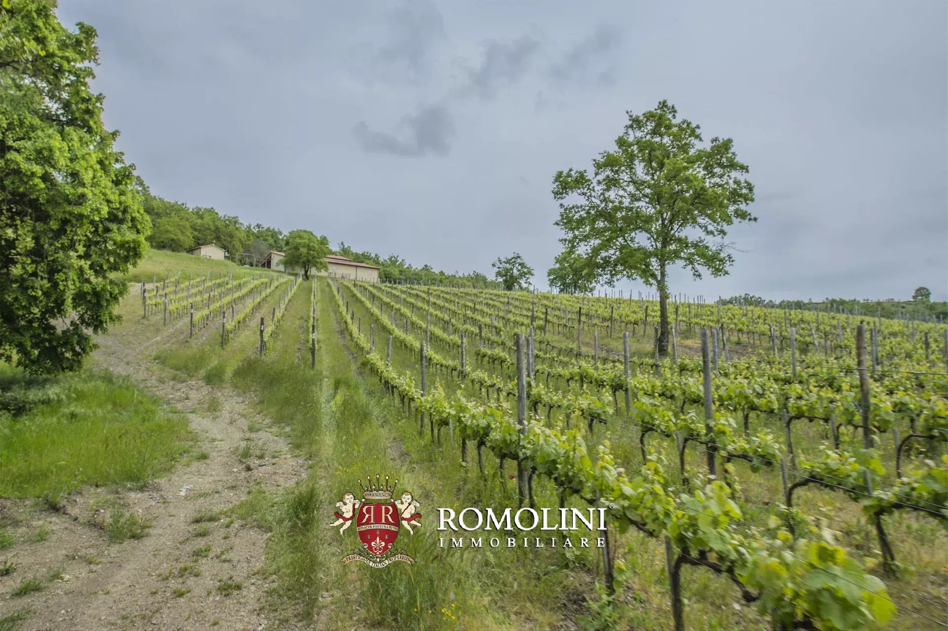 6 Bedroom Vineyard's Image 13