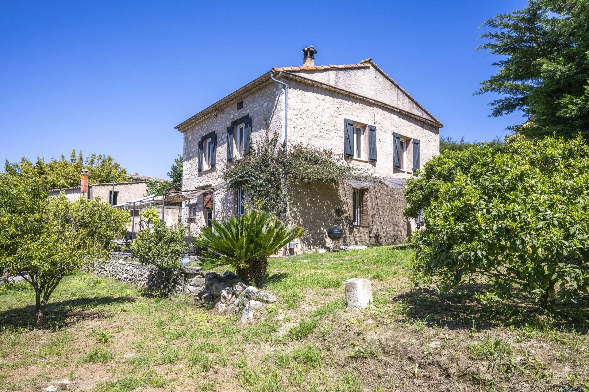 property_image