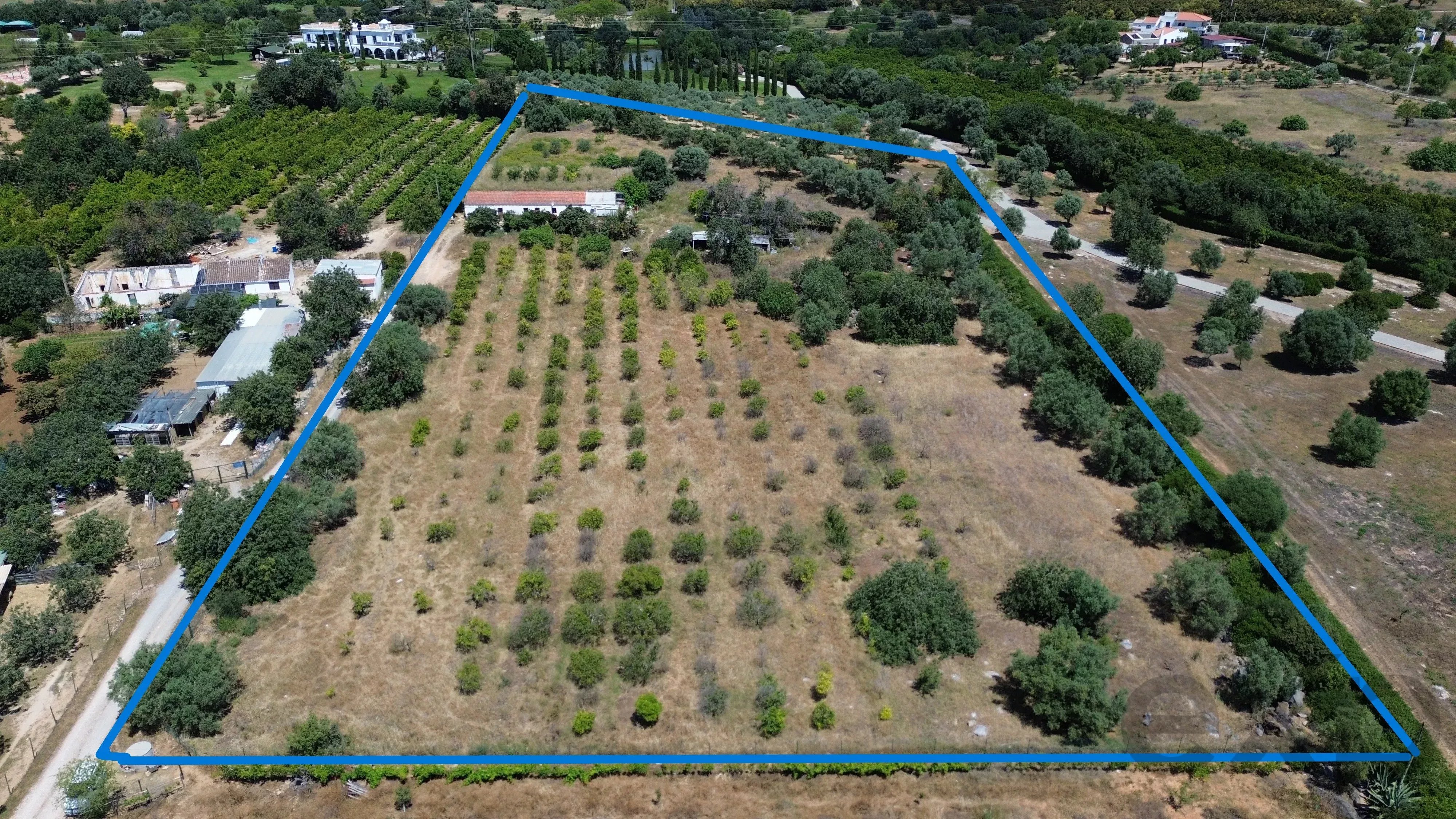 6 room Farmhouse with 1.5 hectares of land and sea view 86949039 image 4