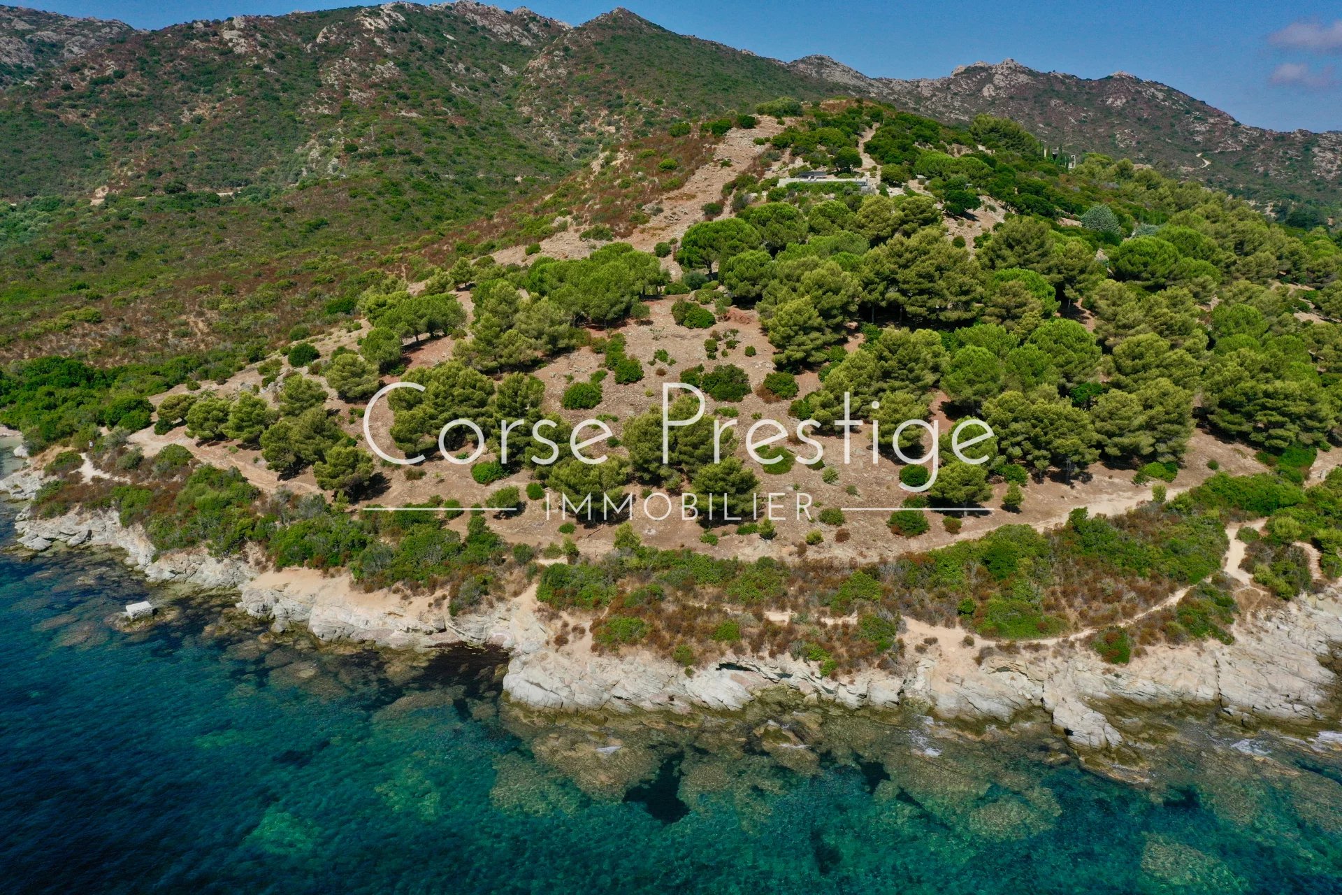 propriete exceptionnelle - pieds dans l-eau - saint florent - haute corse image2