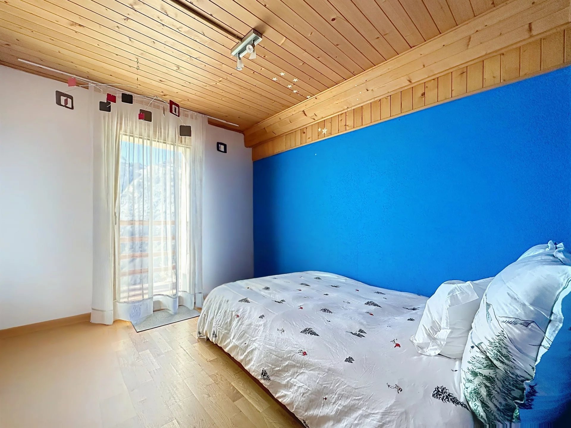 Vue panoramique sur le Mont-Blanc et la Cime de l'Est