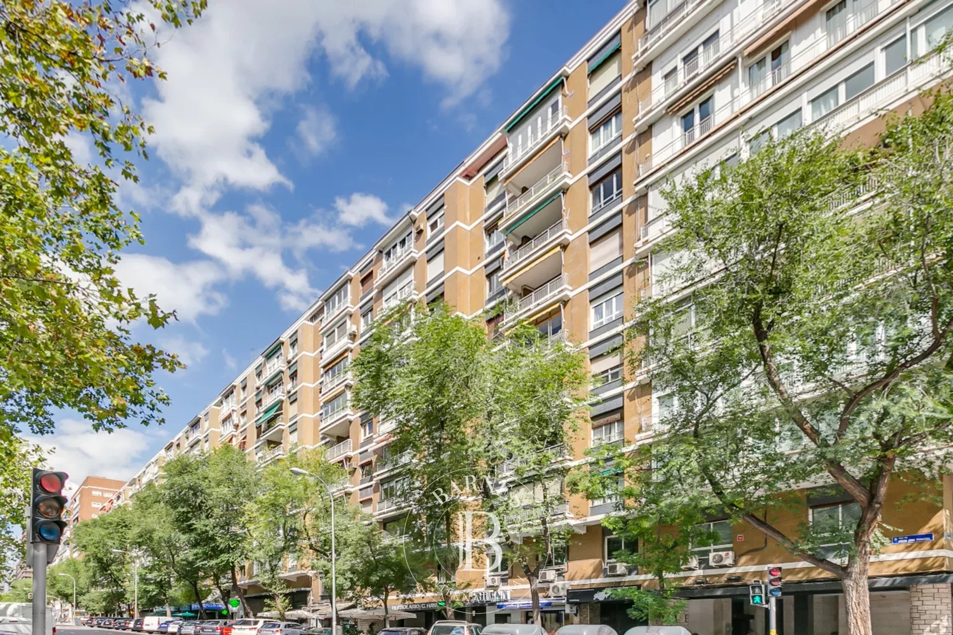 Daire Madrid - picture 33