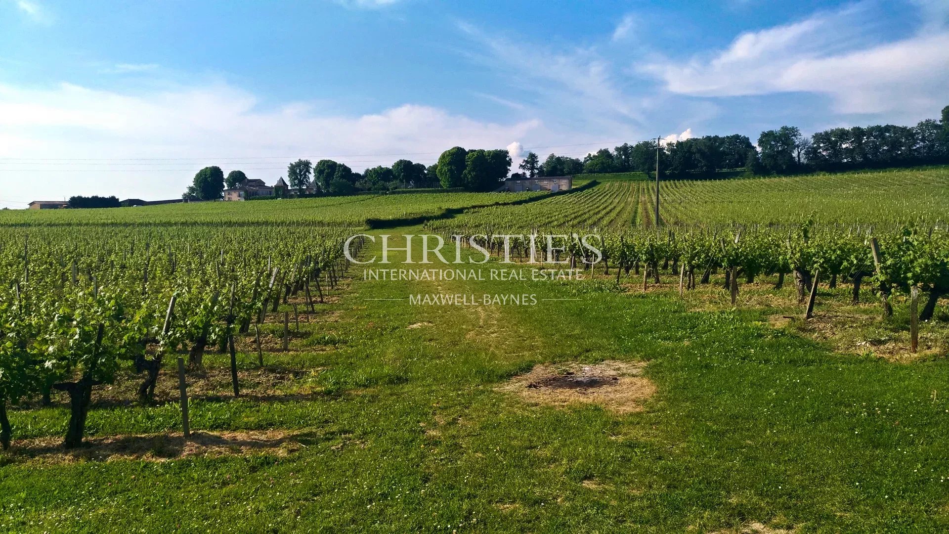 12 Bedroom Vineyard's Image 22