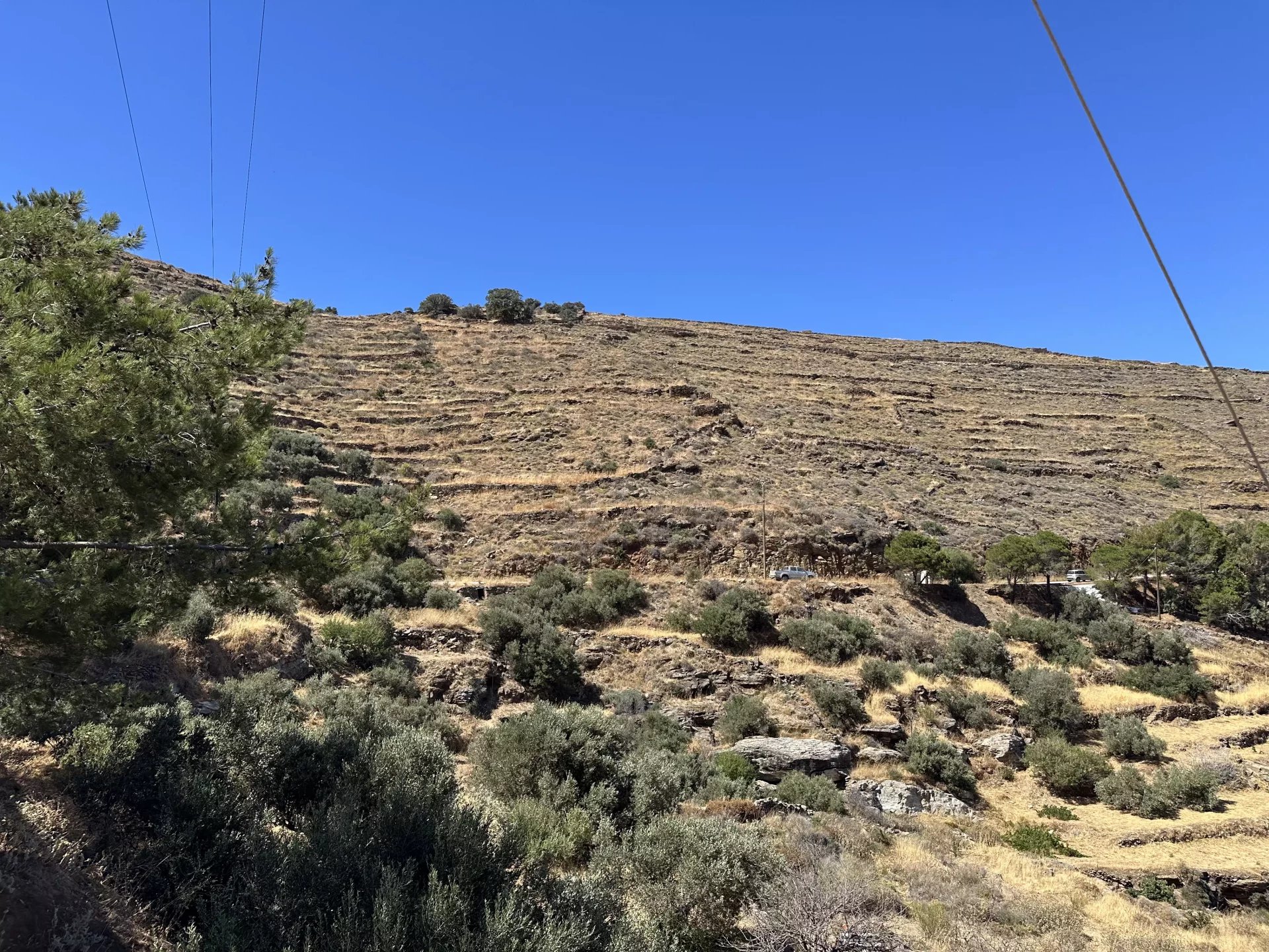 Εικόνα ιδιοκτησίας 14