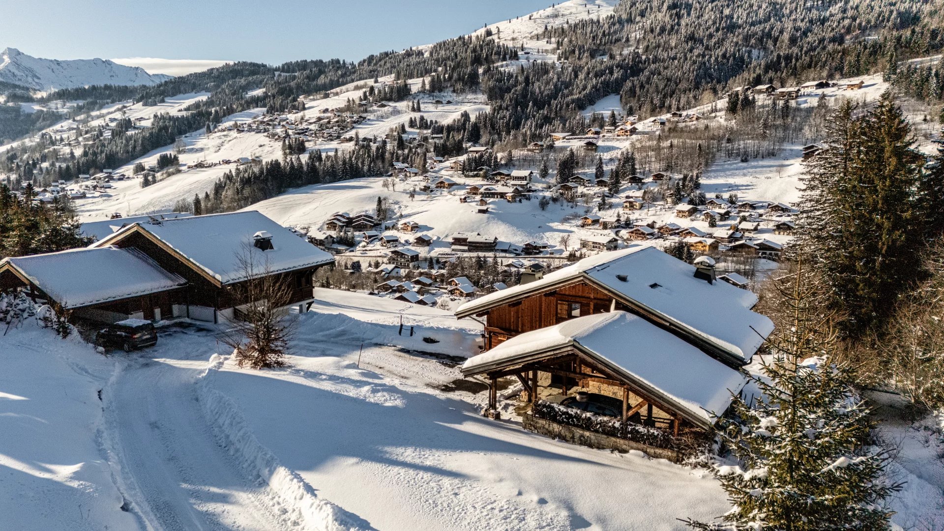 Chalet Les Gets - picture 2