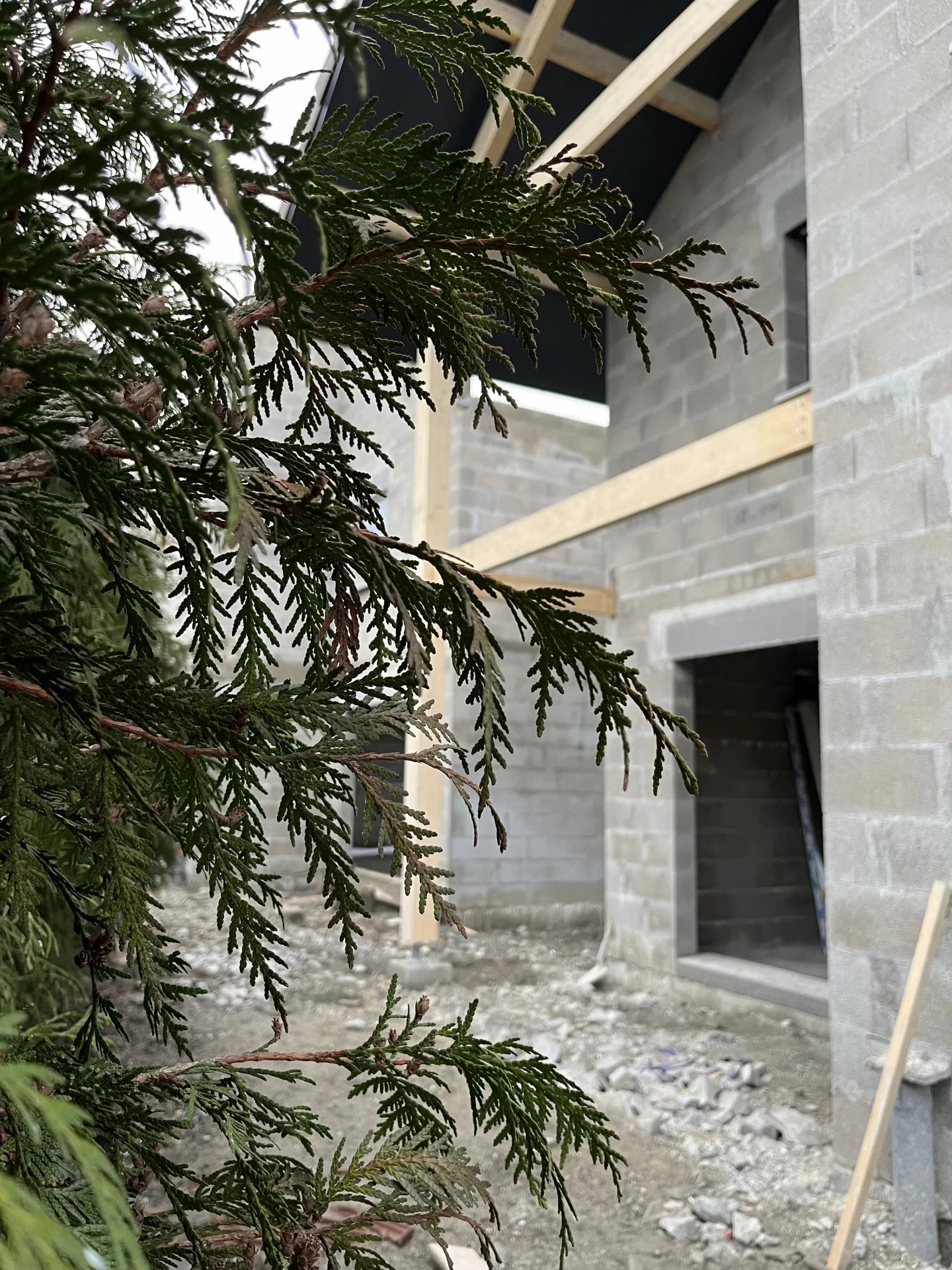 Agence immobilière de Invest & Immo