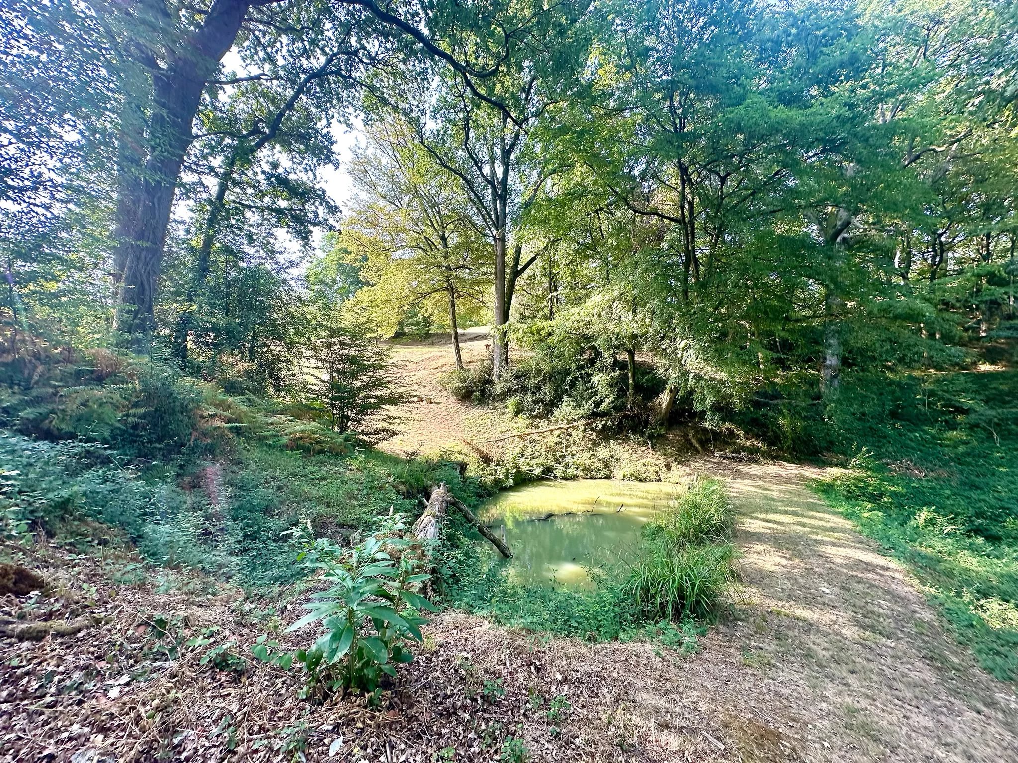 Farmhouse for sale Miélan, Gers