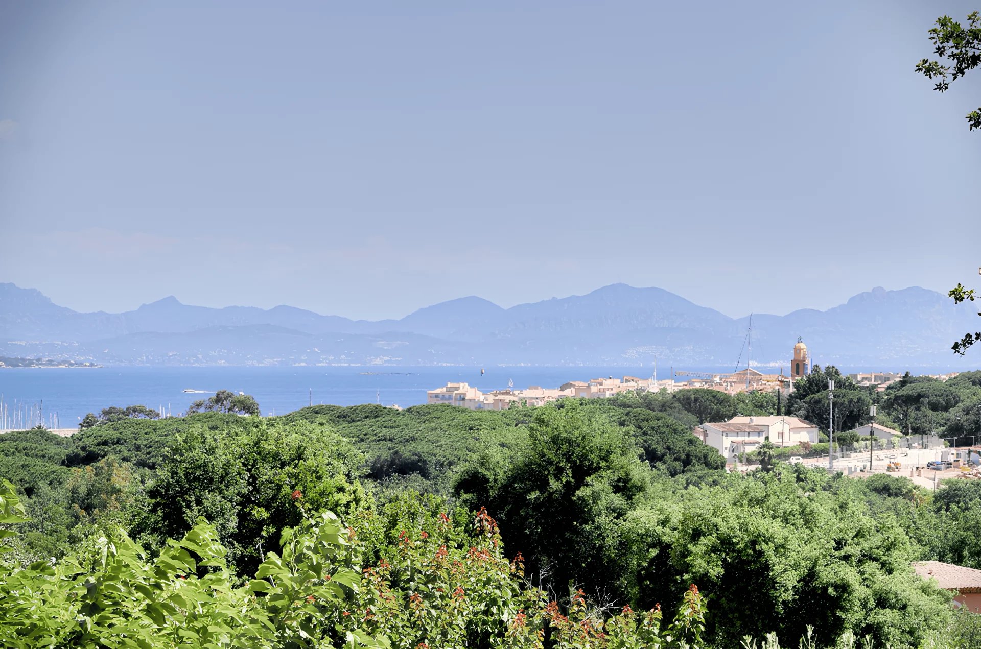 Villa MAS DES OLIVIERS