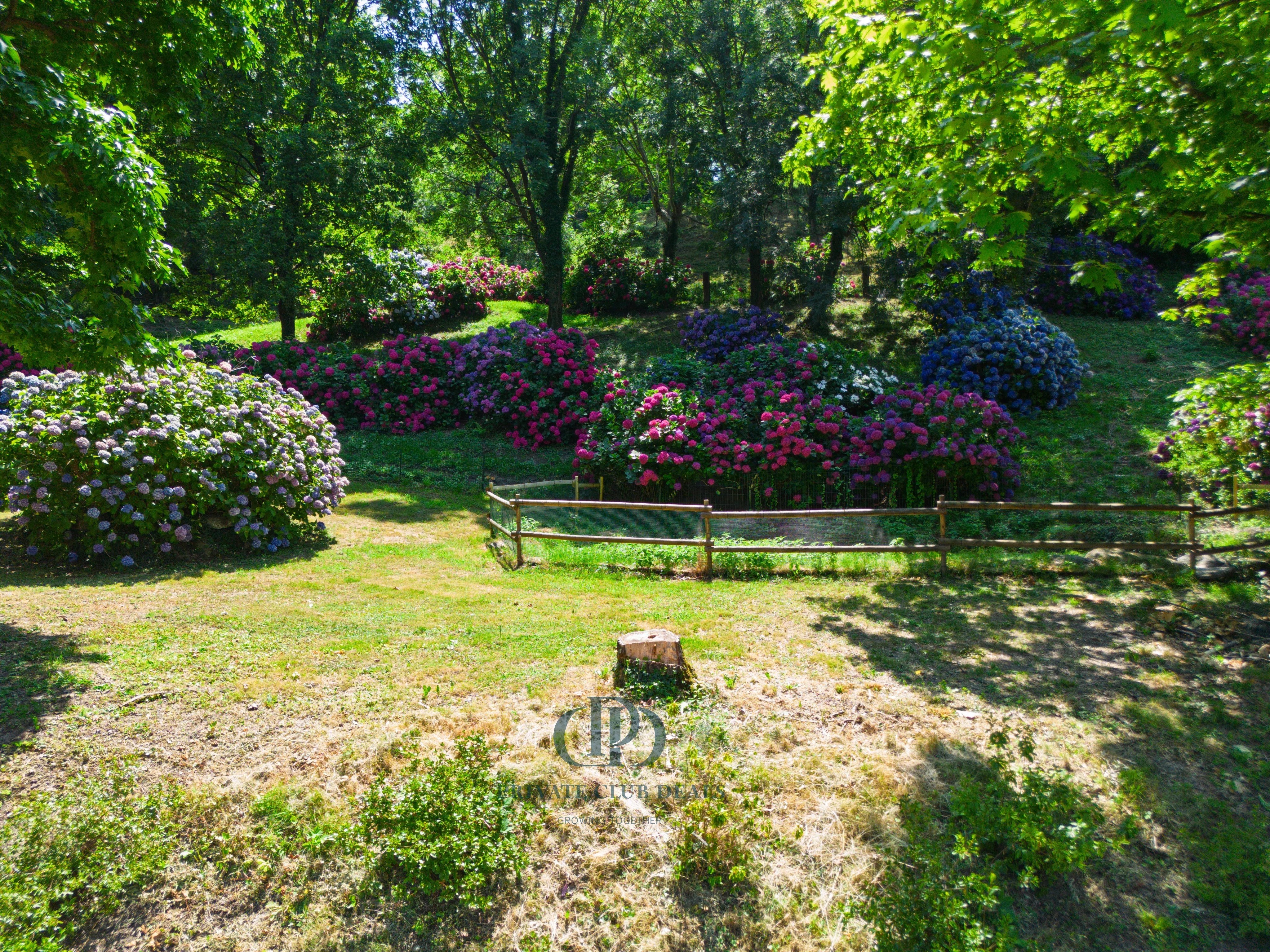 Villa Dolzago - picture 19