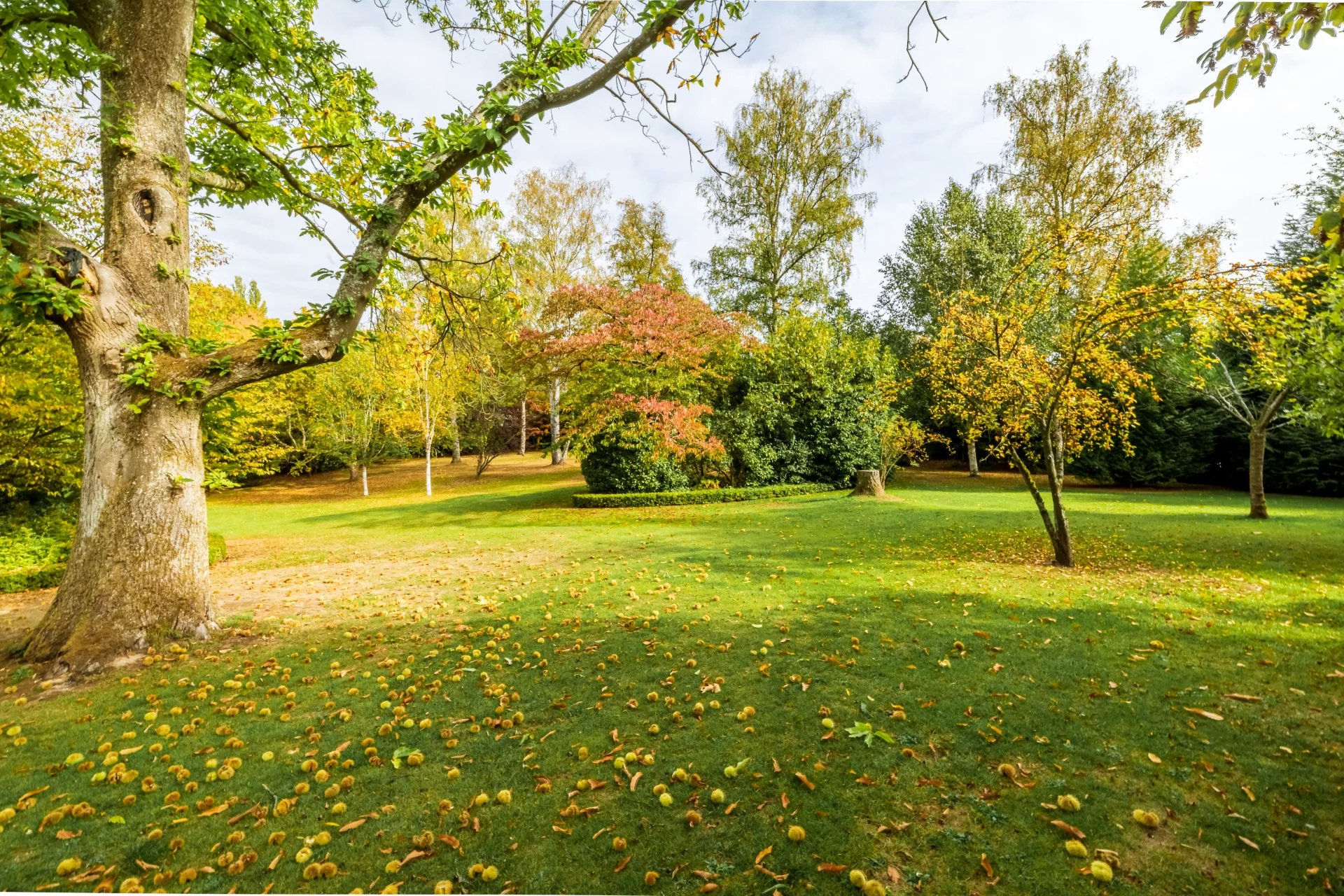 Tervuren - Uitzonderlijke woning - Wijk Hoogvorst
