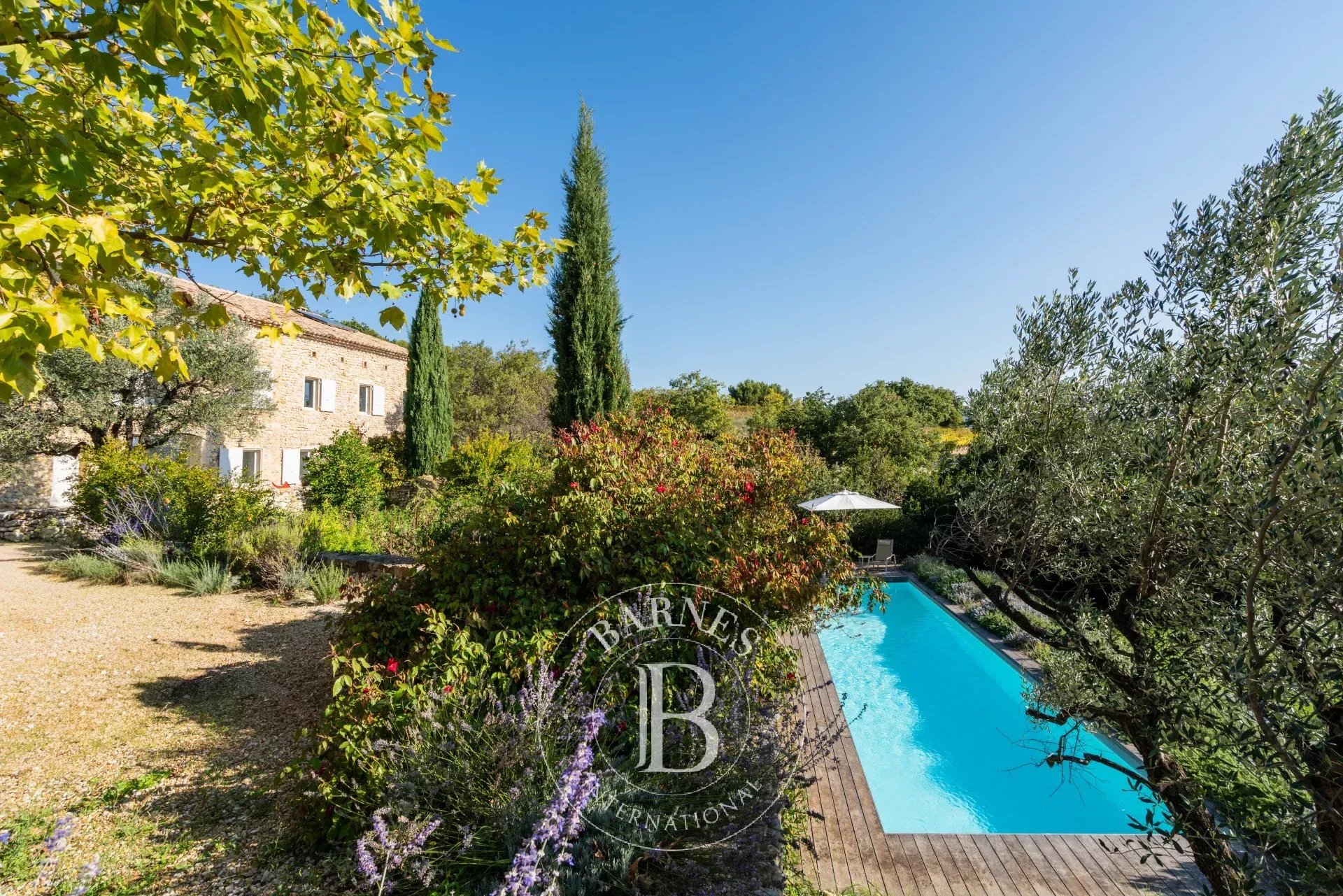 Propriété viticole Vaison-la-Romaine  -  ref 86954300 (picture 3)