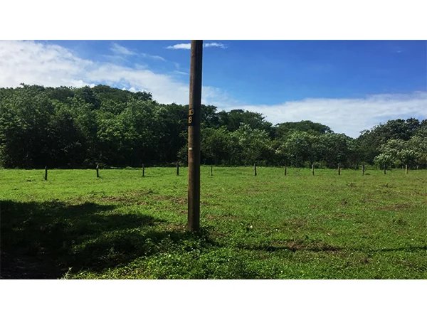 Sale Plot of land Santa Cruz Santa Rosa