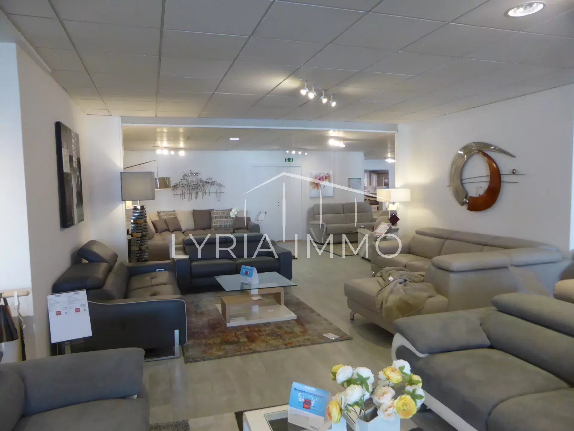 Agence immobilière de 