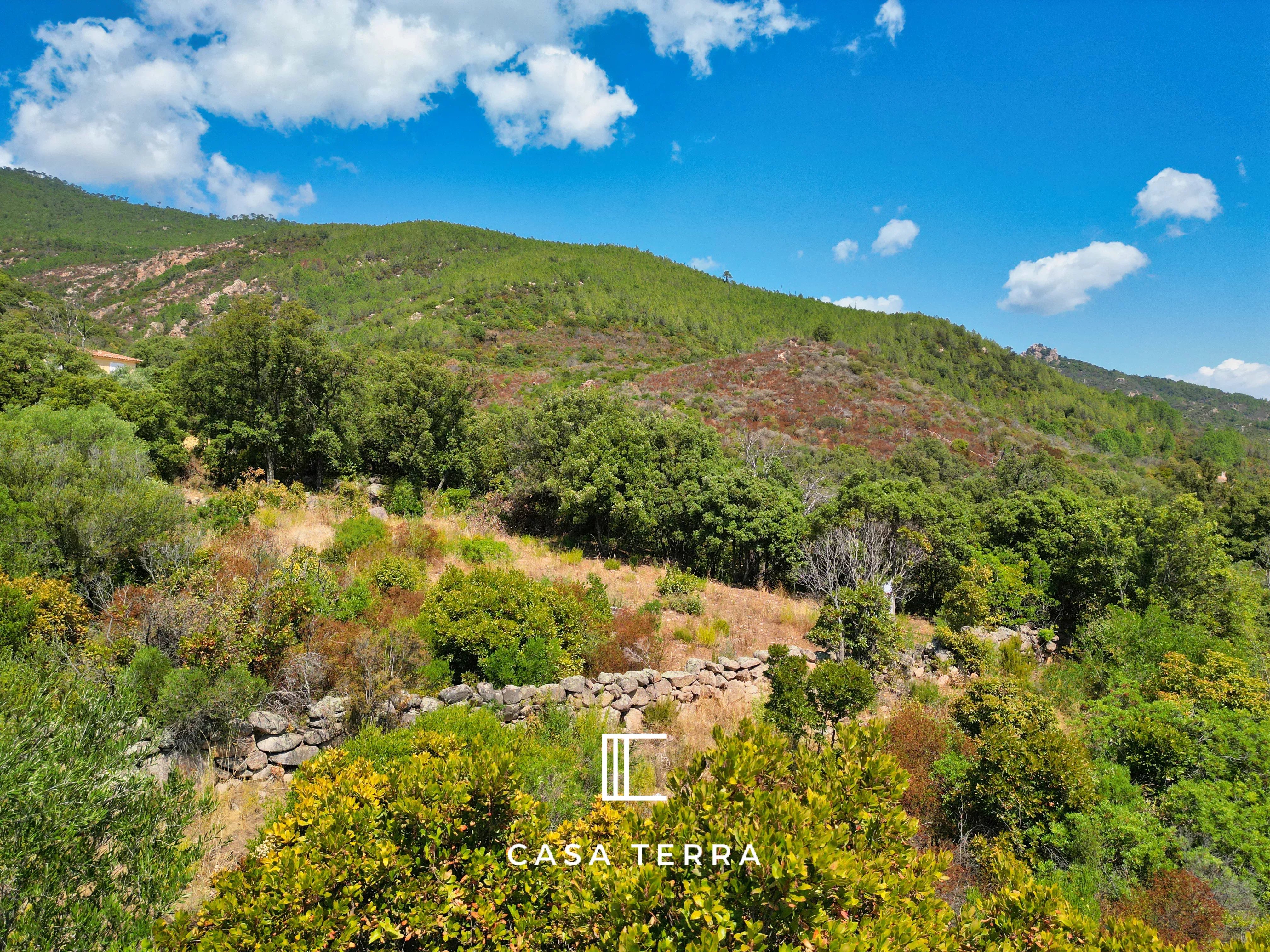 FRAGNU – Terrain à bâtir avec vue mer / Porto-Vecchio - Photo 4