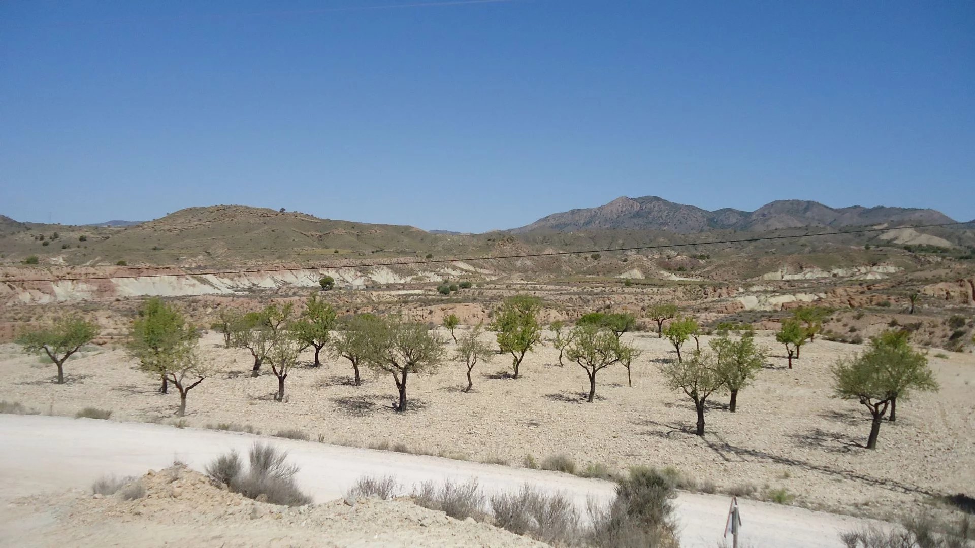 Vente Terrain Abanilla