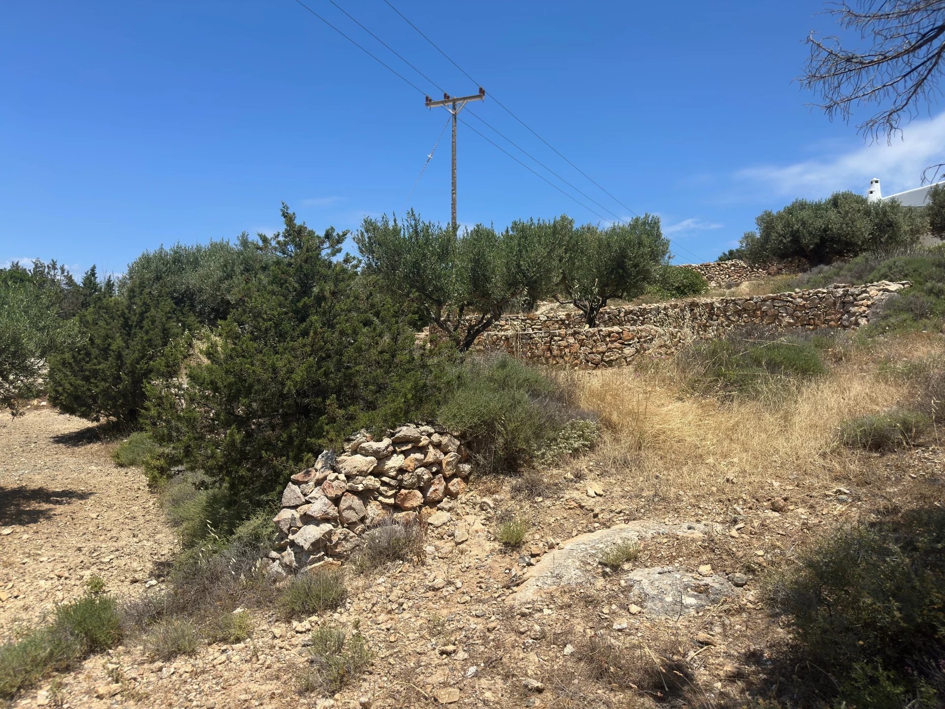 Εικόνα ιδιοκτησίας 94