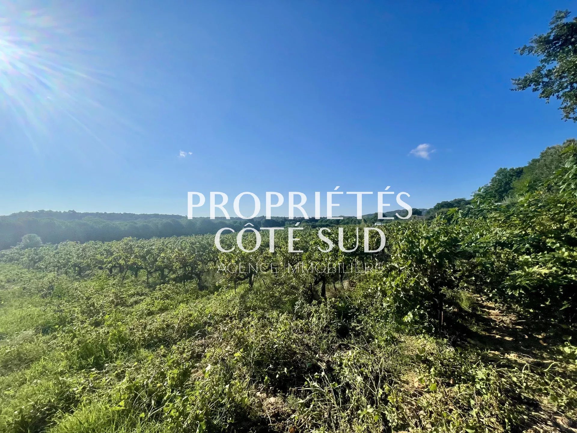 Agence immobilière de SARL PROPRIÉTÉS CÔTÉ SUD