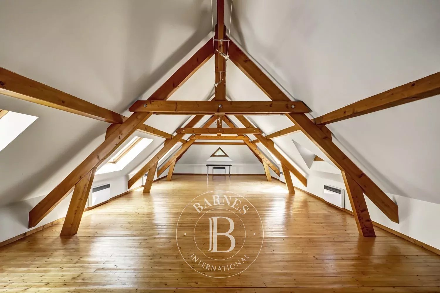 Saray Bonneville - picture 9