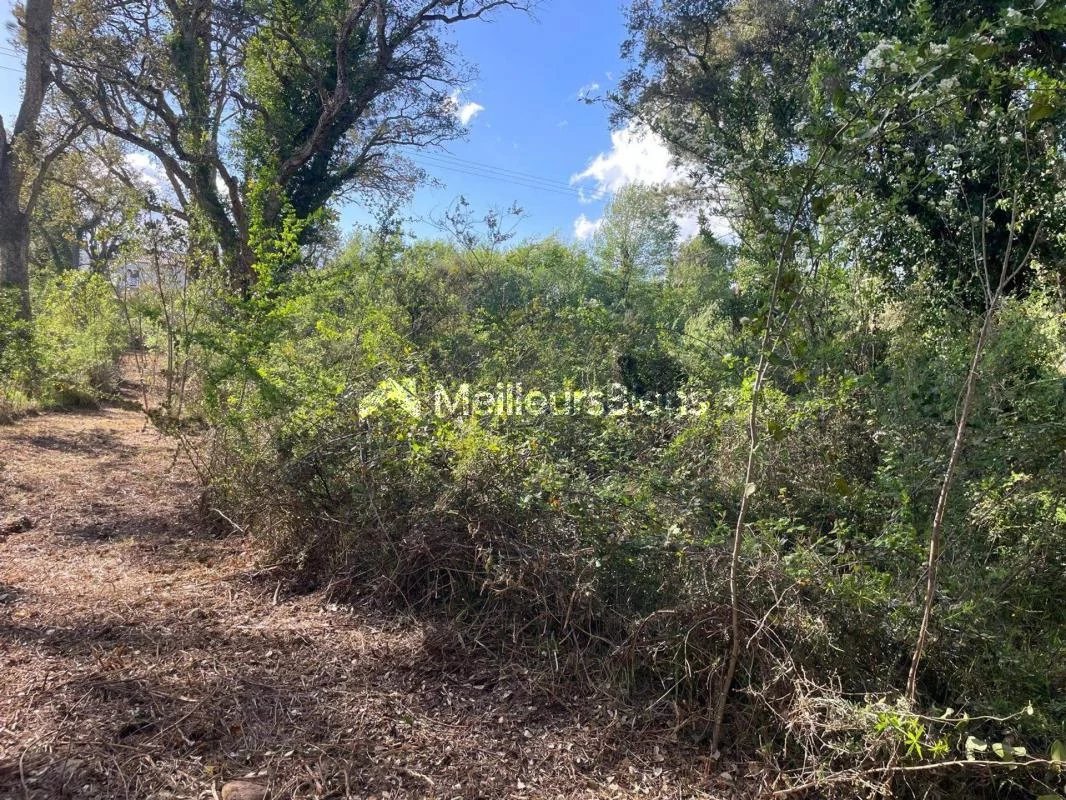 Vente Terrain Ventiseri