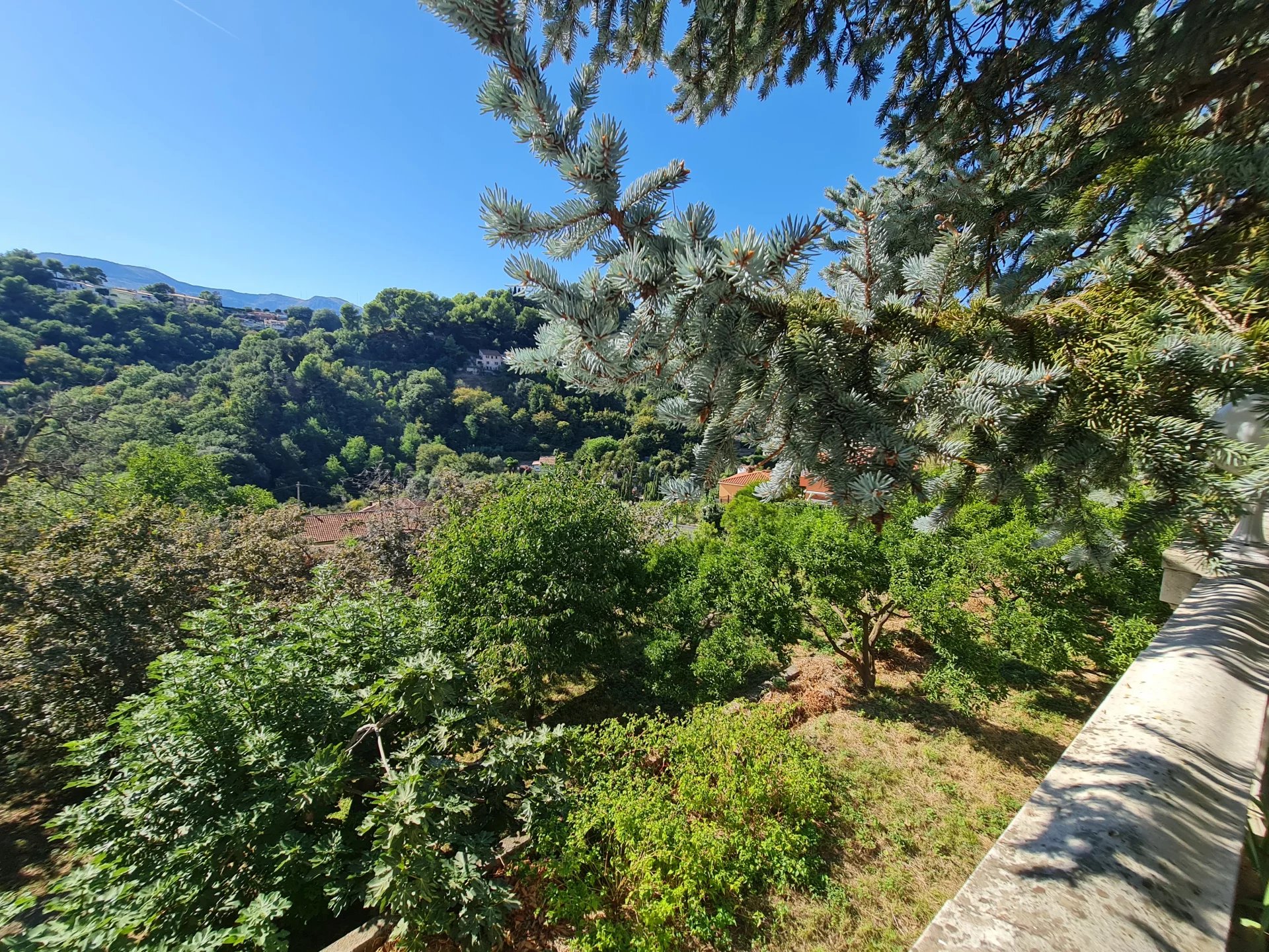 Vendita Villa Mentone