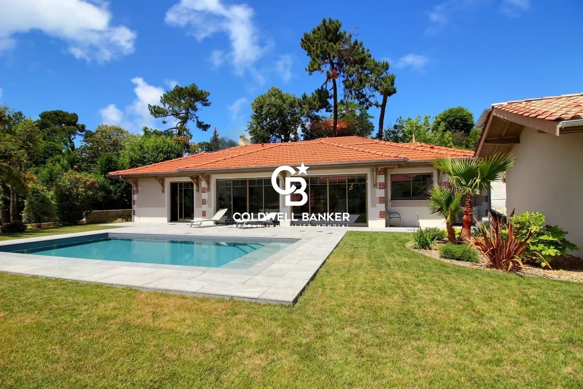 Agence immobilière de Silver Coast Int. Realty