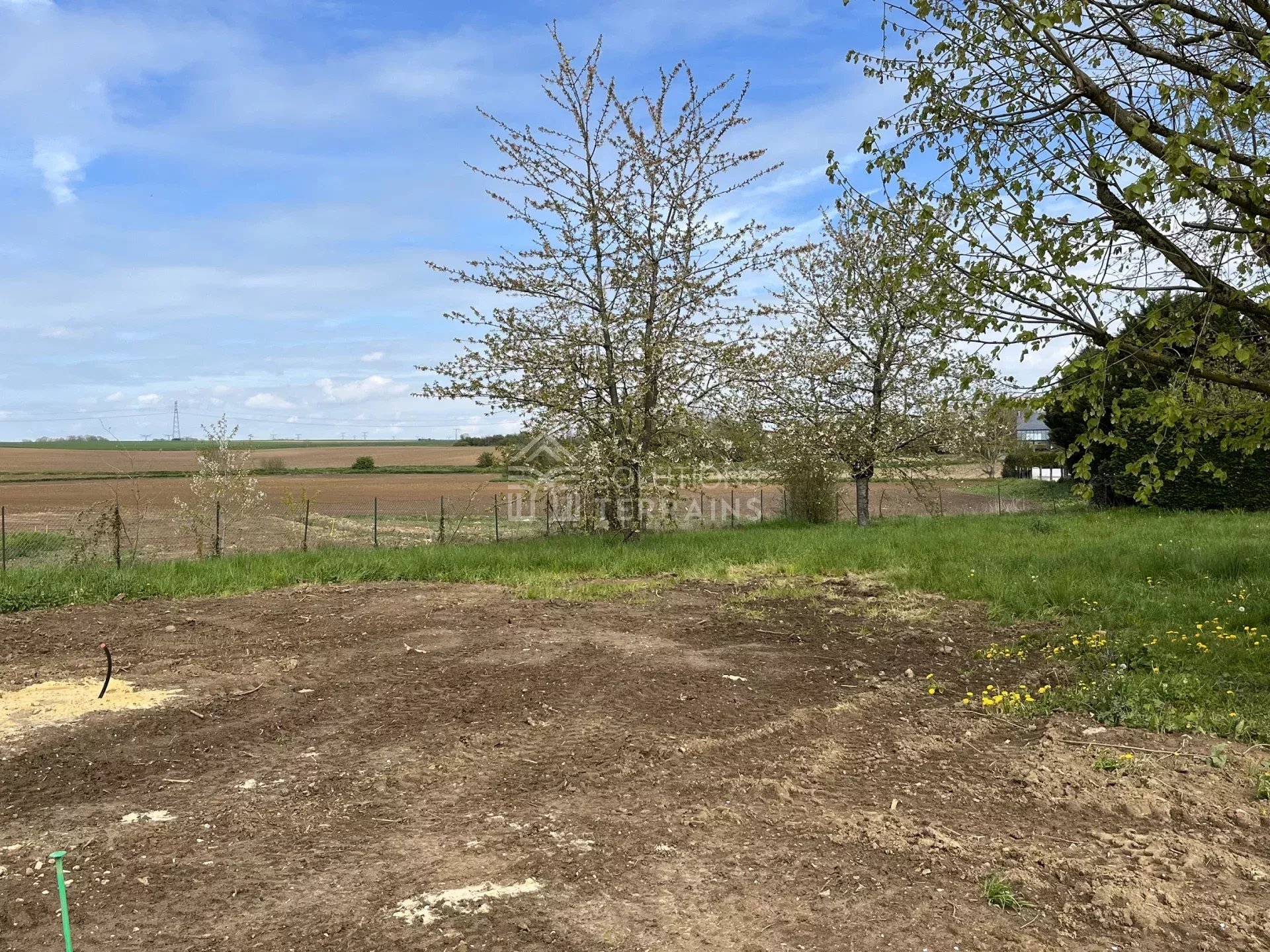 Agence immobilière de Solutions Terrains