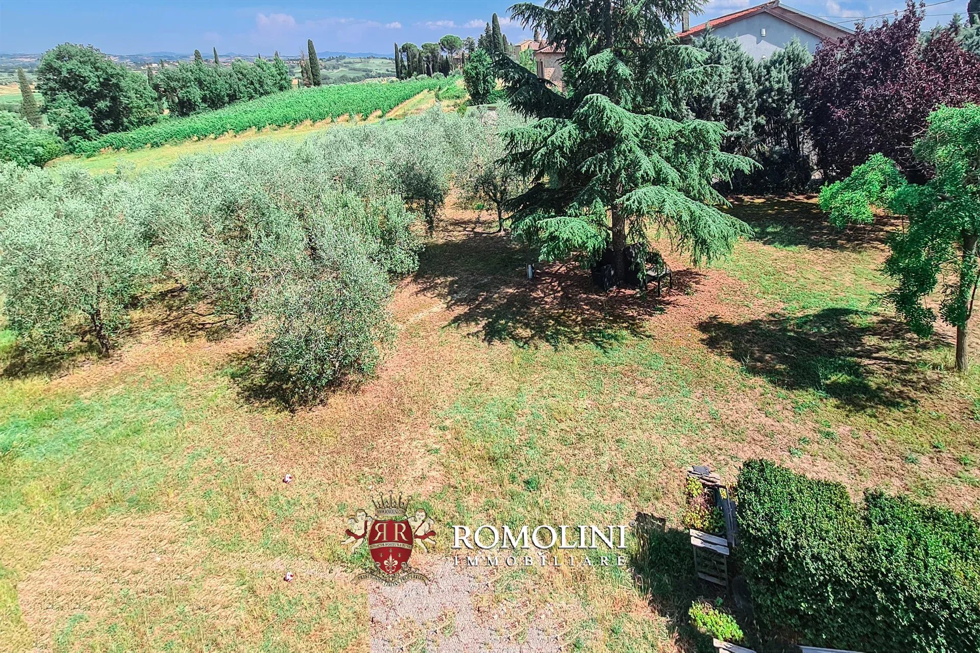5 Bedroom Vineyard's Image 12