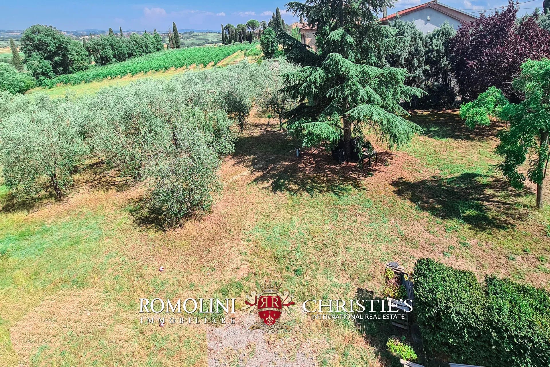 5 Bedroom Vineyard's Image 12