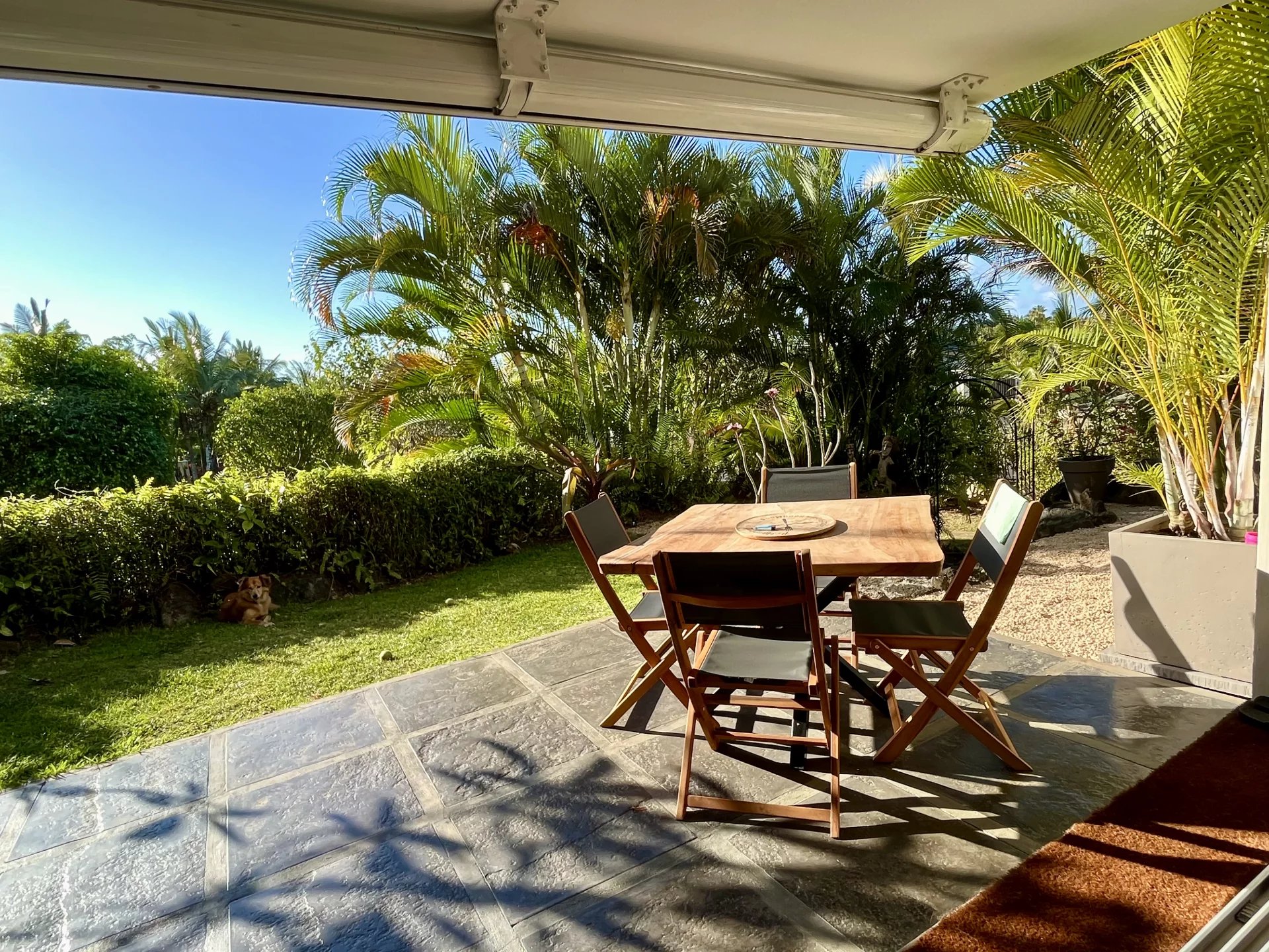 Daire Piton - picture 4