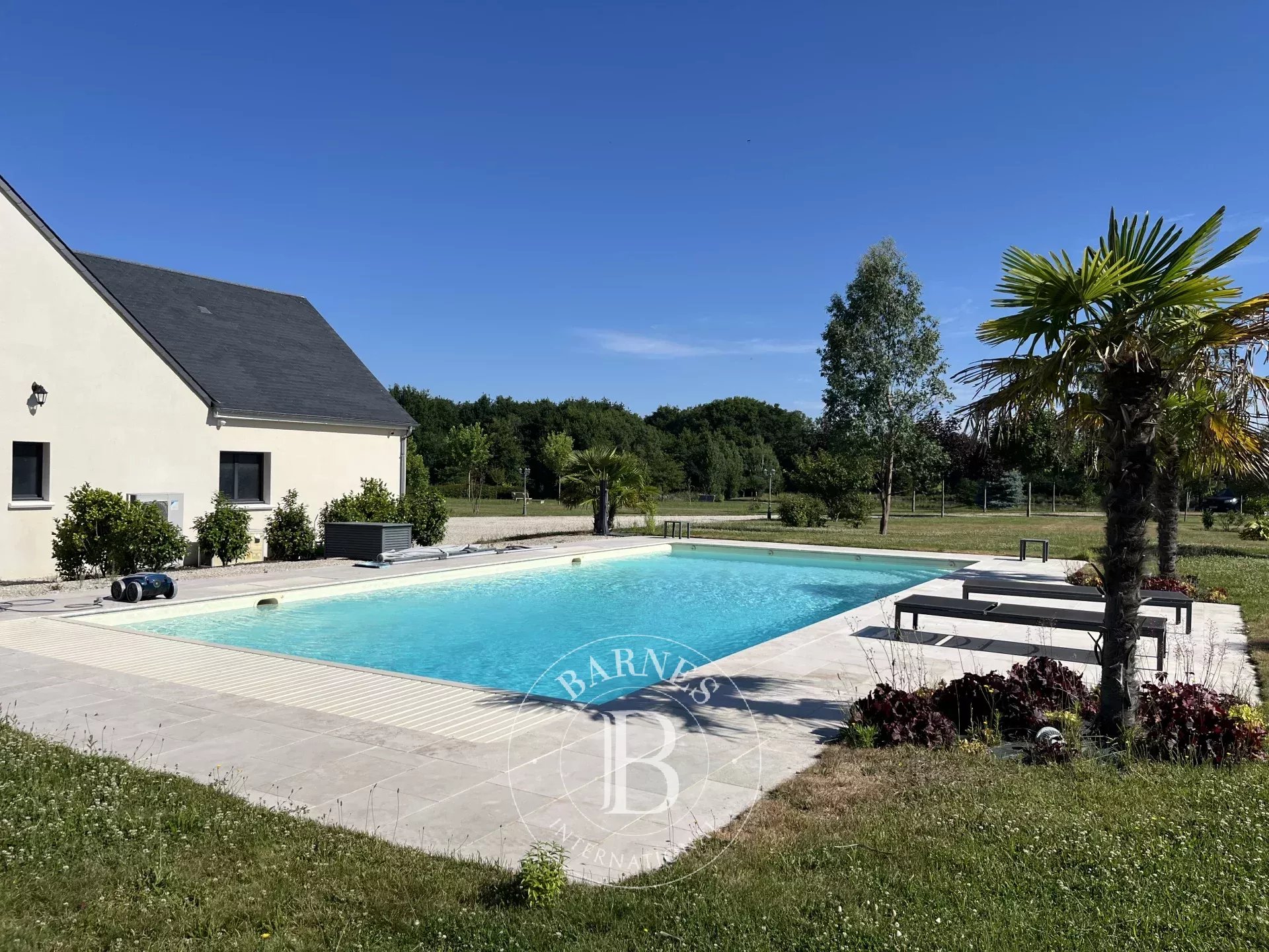 Maison Vernou-en-Sologne  -  ref 86052121 (picture 3)