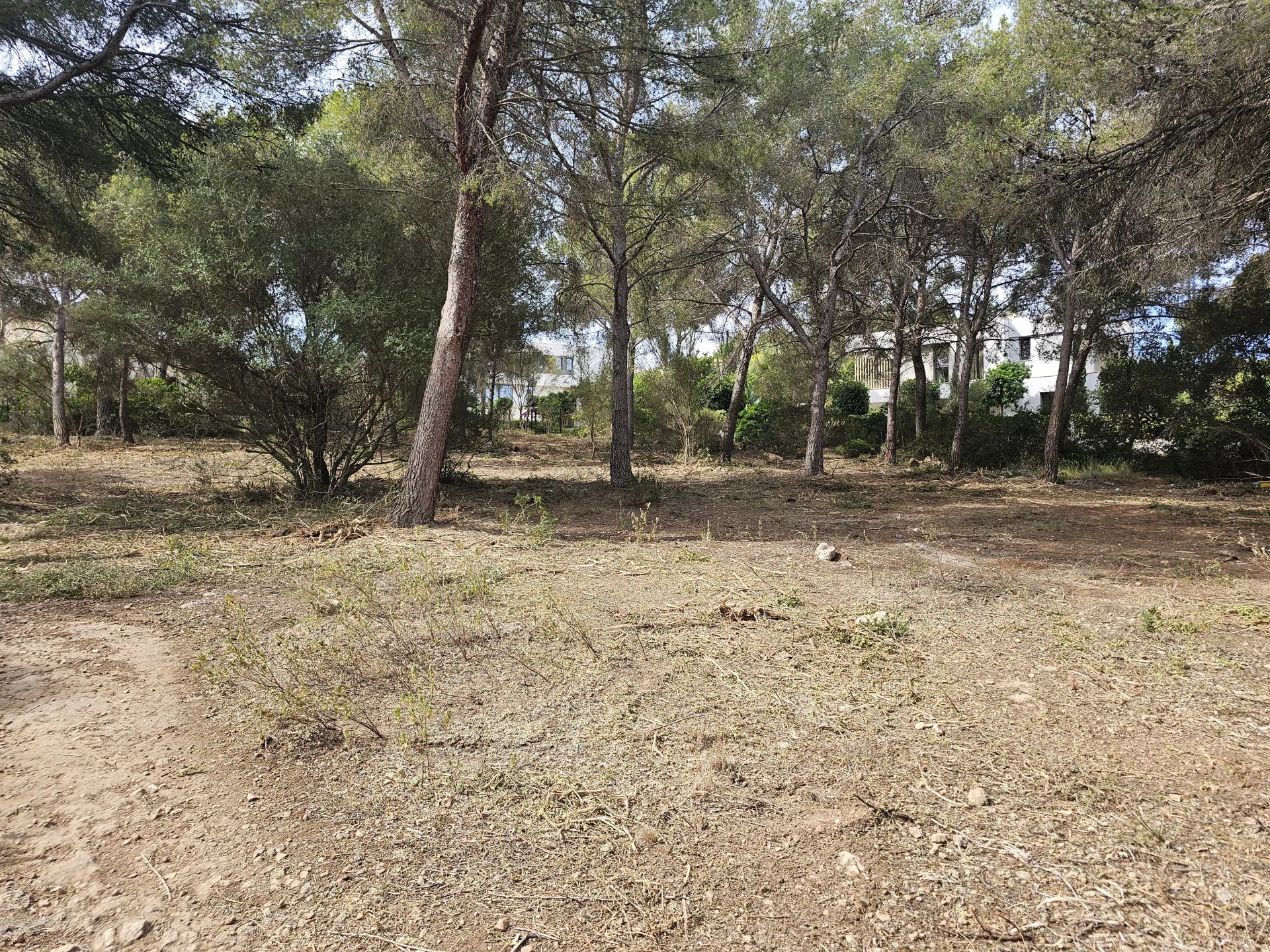 Grand terrain à côté du terrain de golf