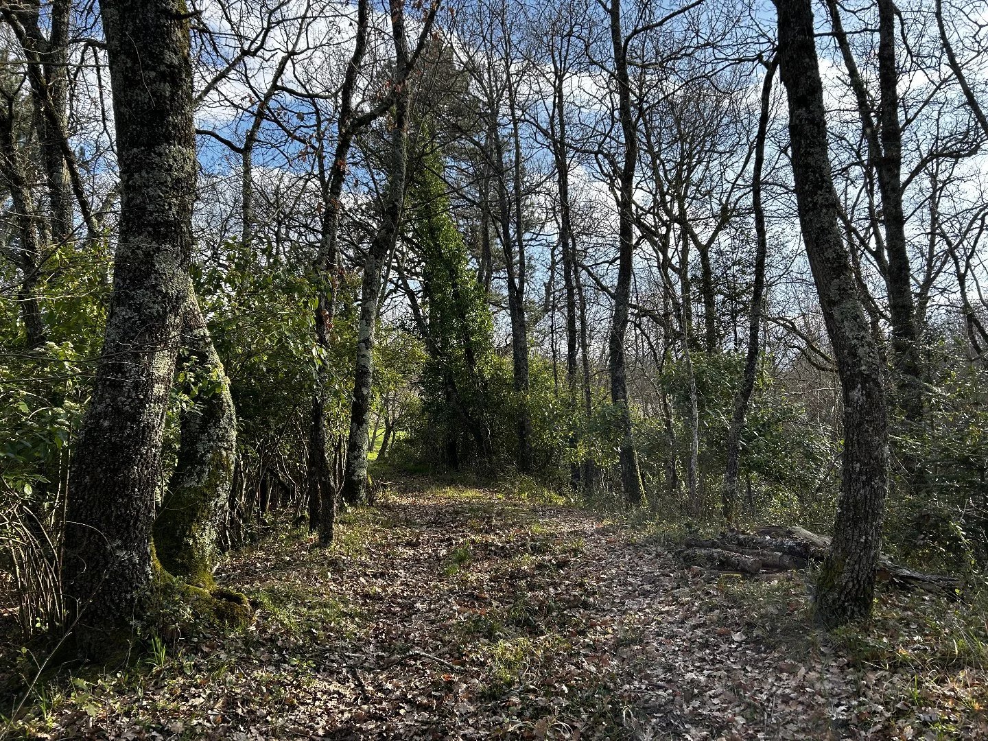 Maison à vendre Belvèze-du-Razès, Aude