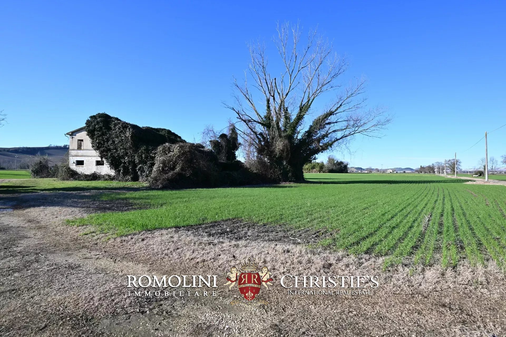 Property Slider Image