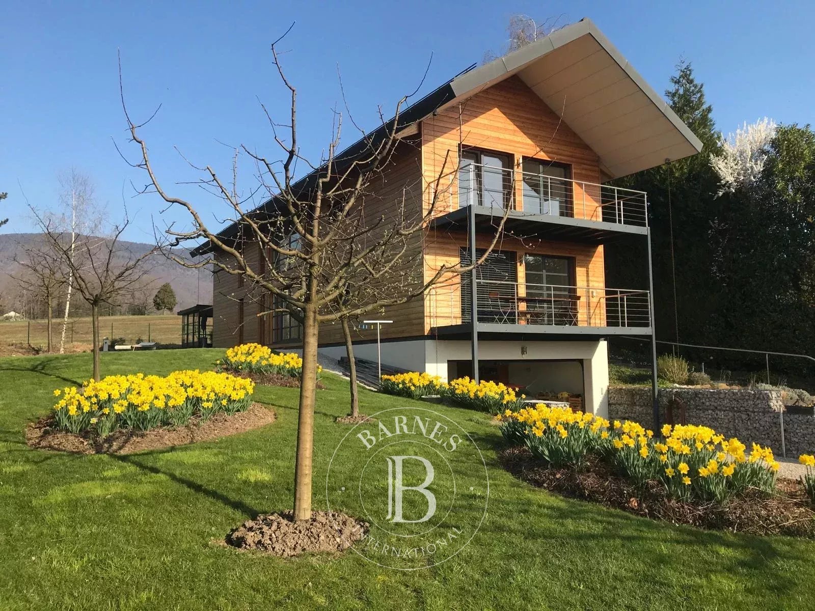 Villa Divonne-les-Bains - picture 37