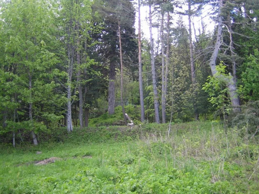 Terrain Constructible Peira Cava - Photo 2