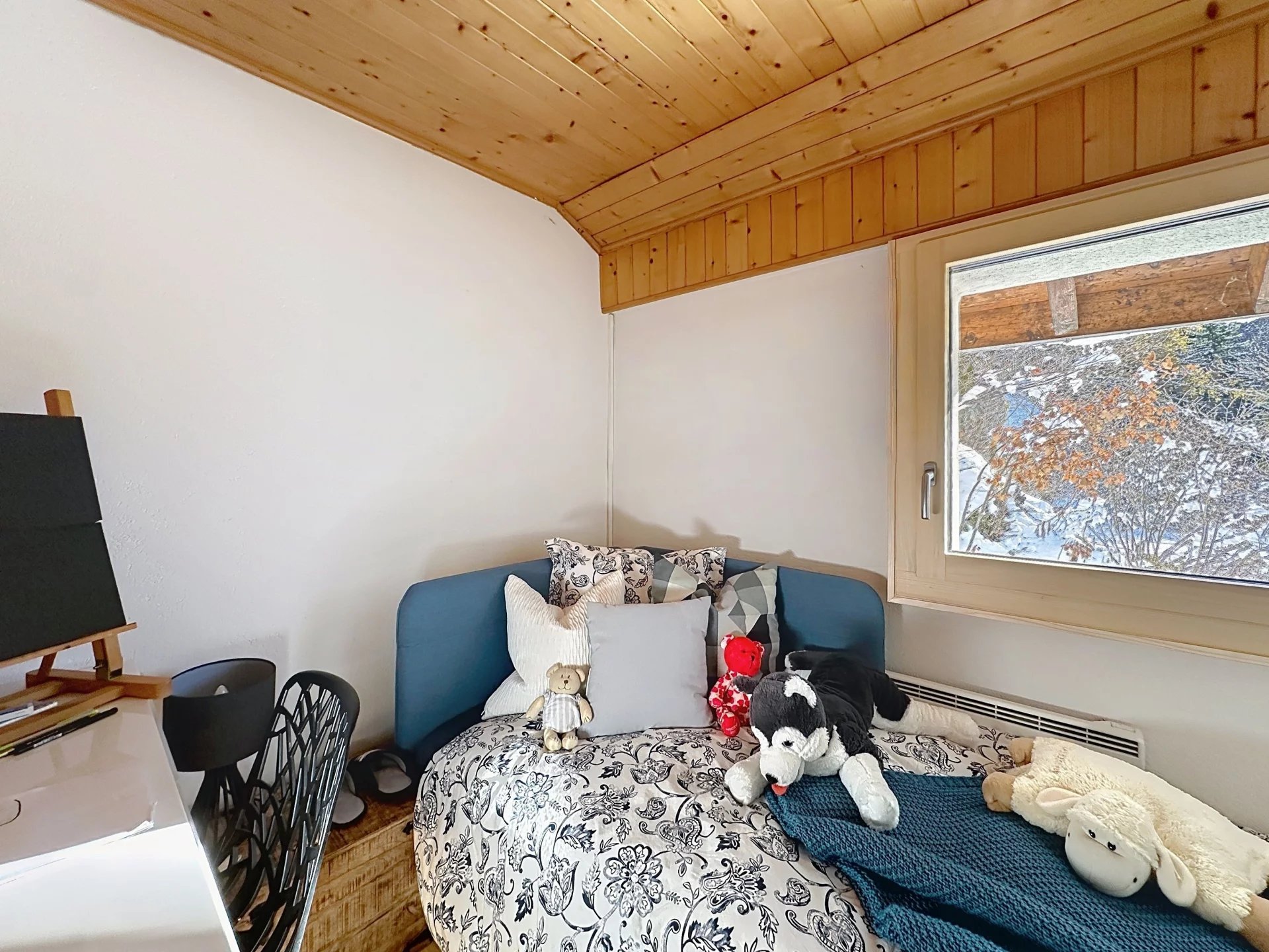 Vue panoramique sur le Mont-Blanc et la Cime de l'Est