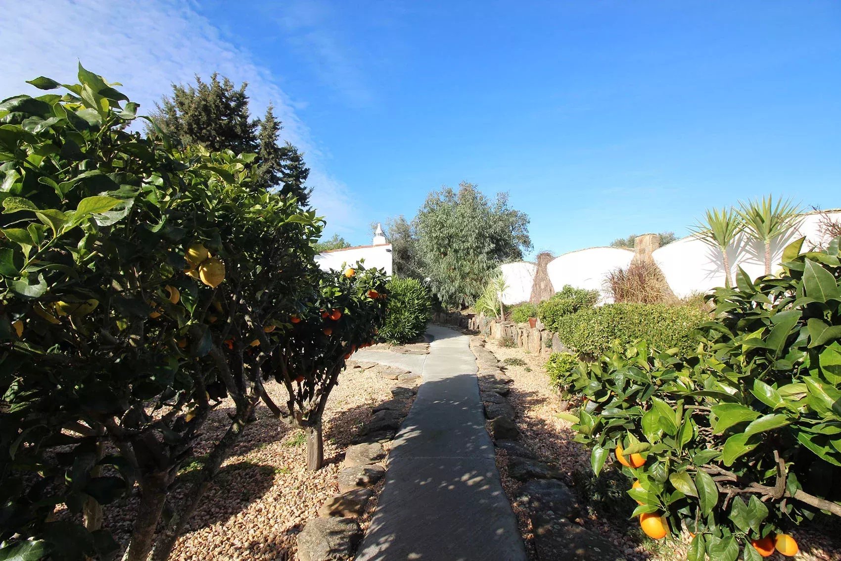 Private Estate - Equestrian Centre 86637172 image 34