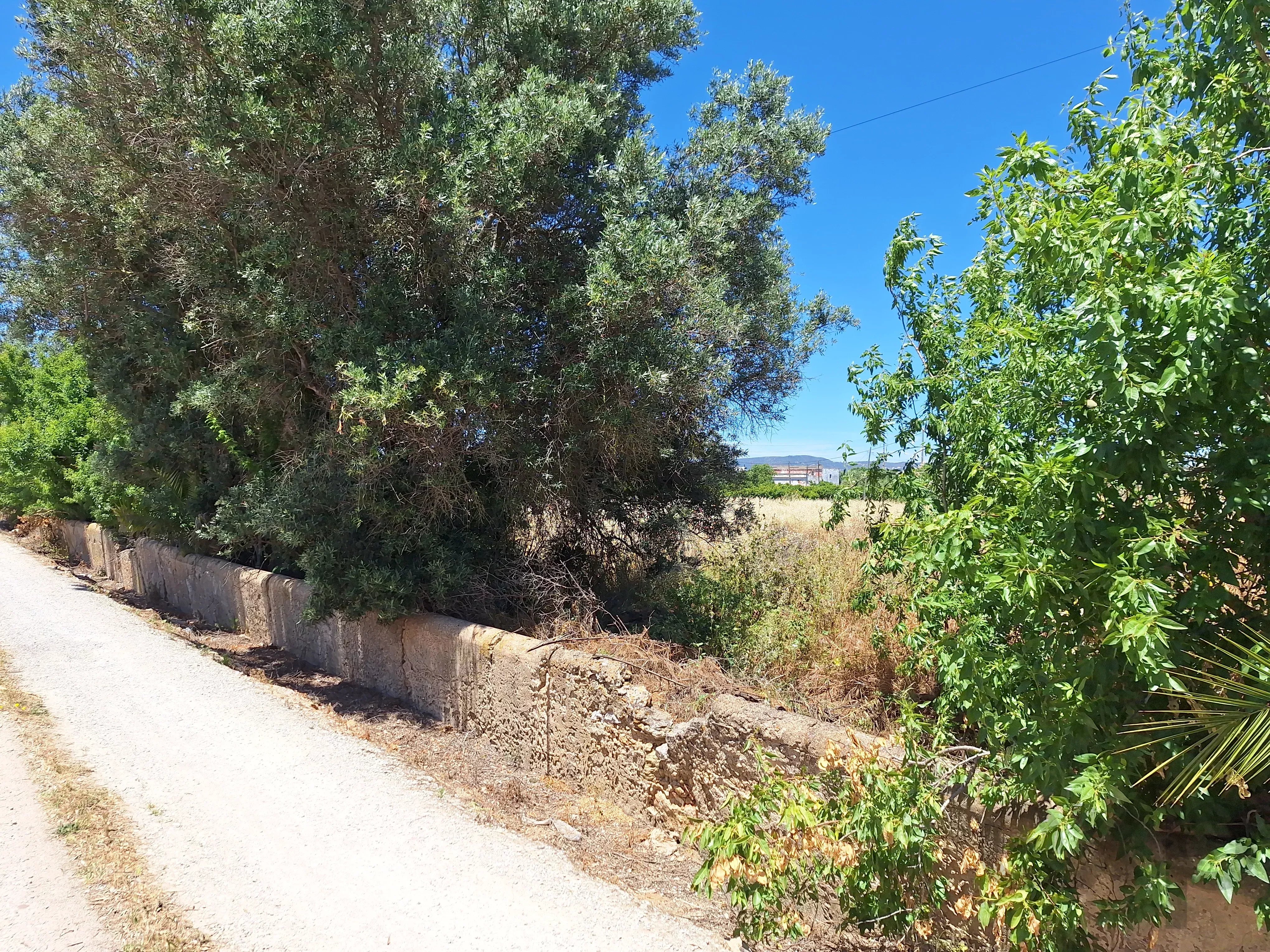 Rustic Land in Mar e Guerra 87032942 image 11
