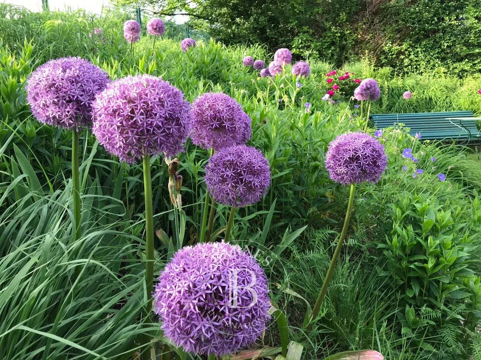 Villa Divonne-les-Bains - picture 38