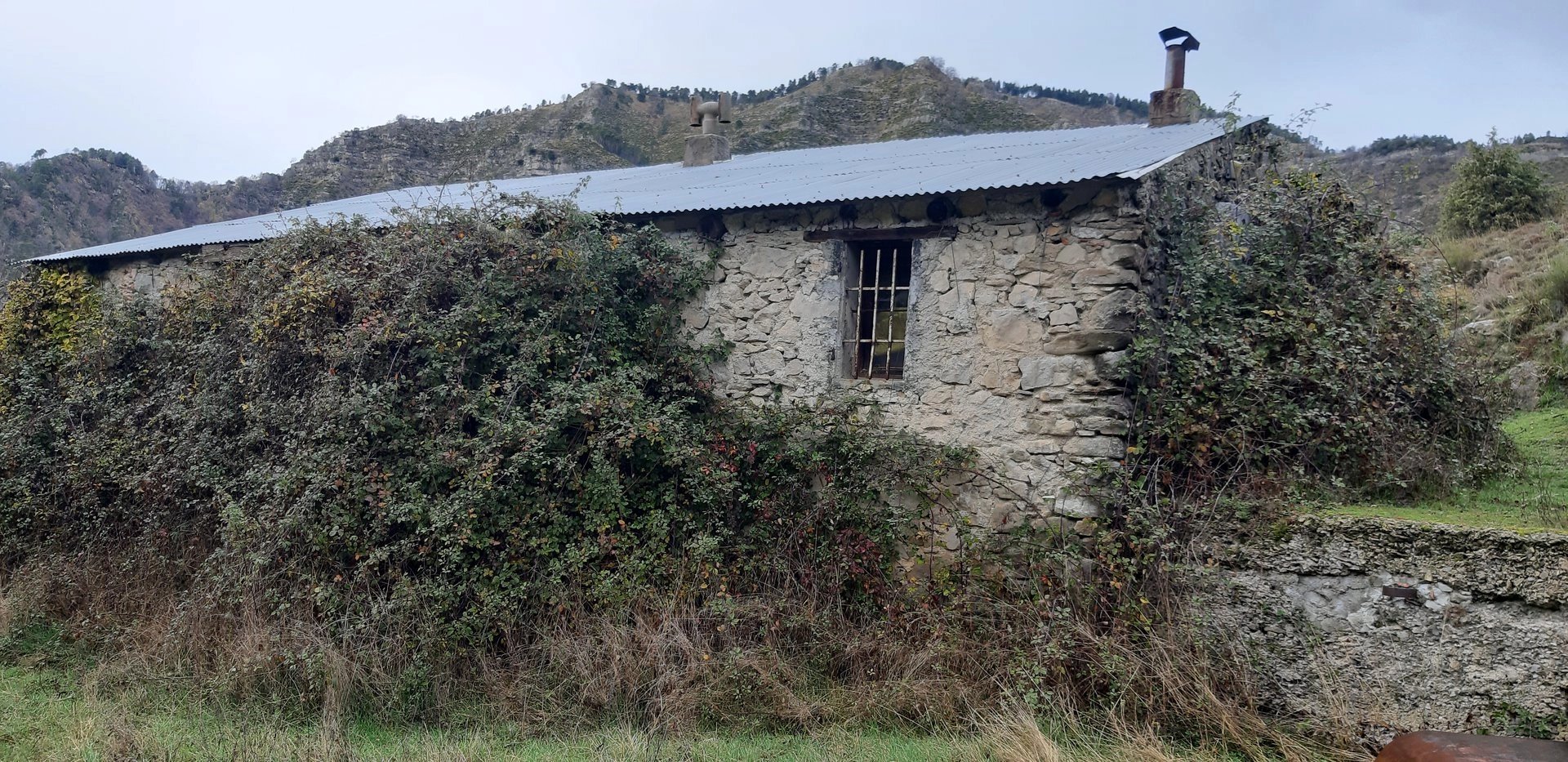 13 hectares de terrains - Photo 2