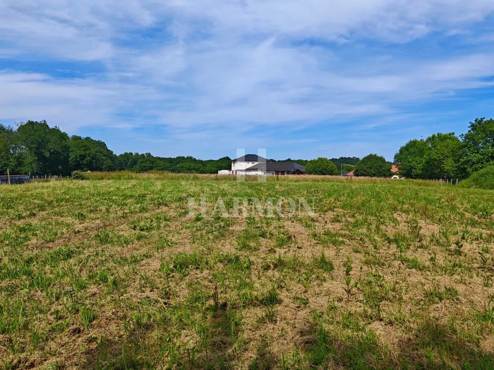Harmon Terrain à bâtir de 1600 m² à Lahourcade - Photo 2