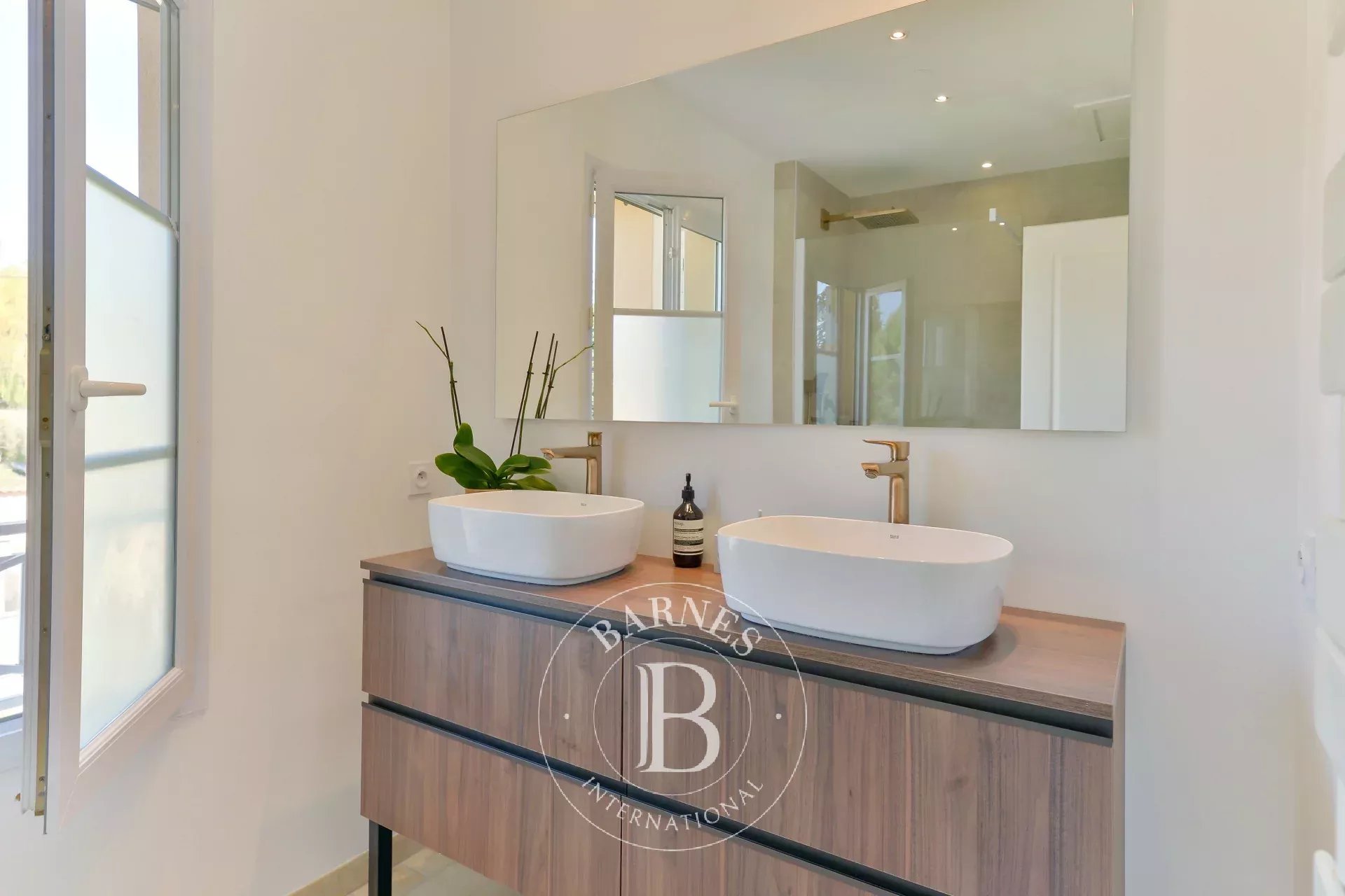 Ev Collonges-au-Mont-d'Or - picture 10