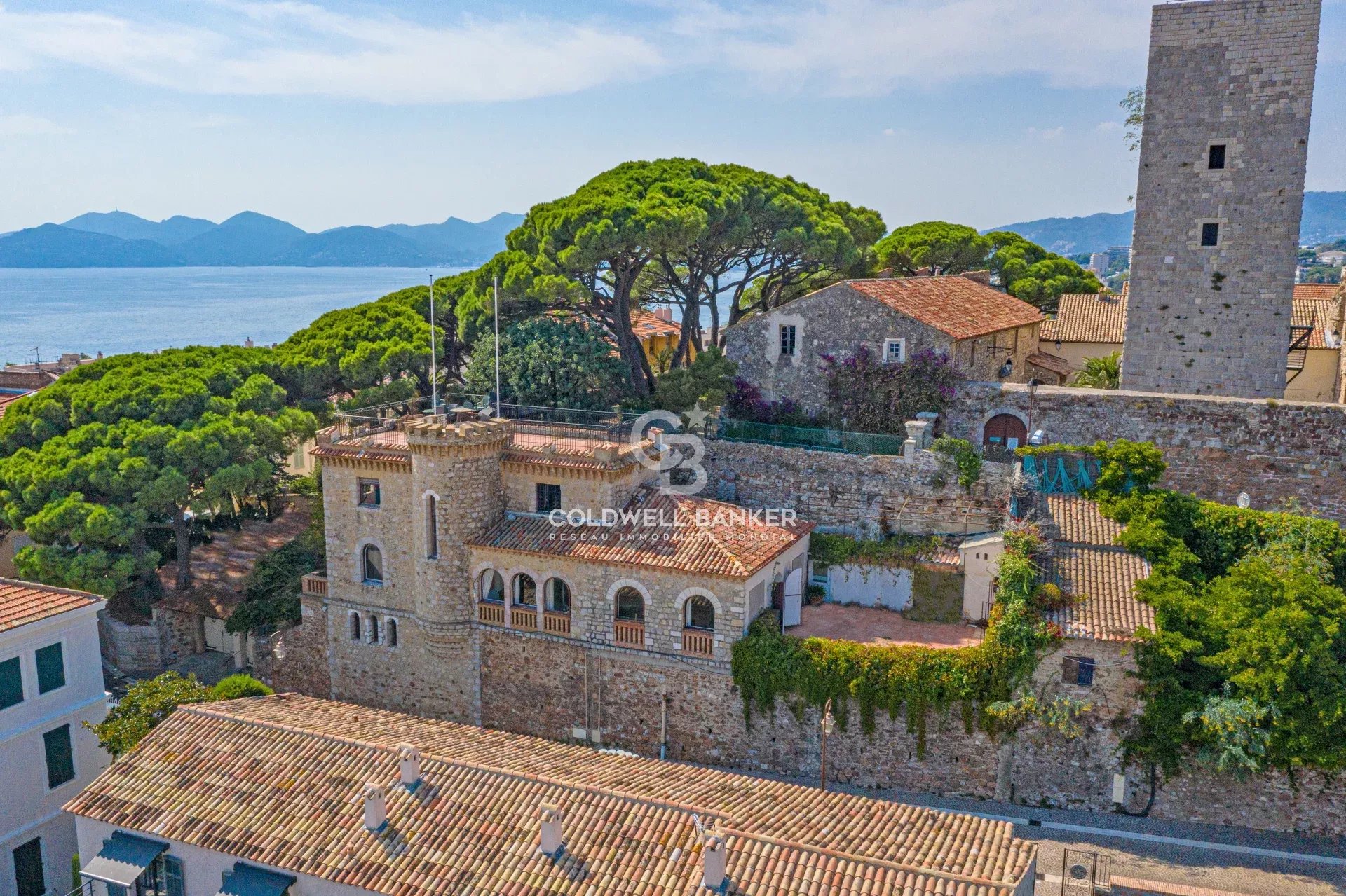 Vente Villa Cannes